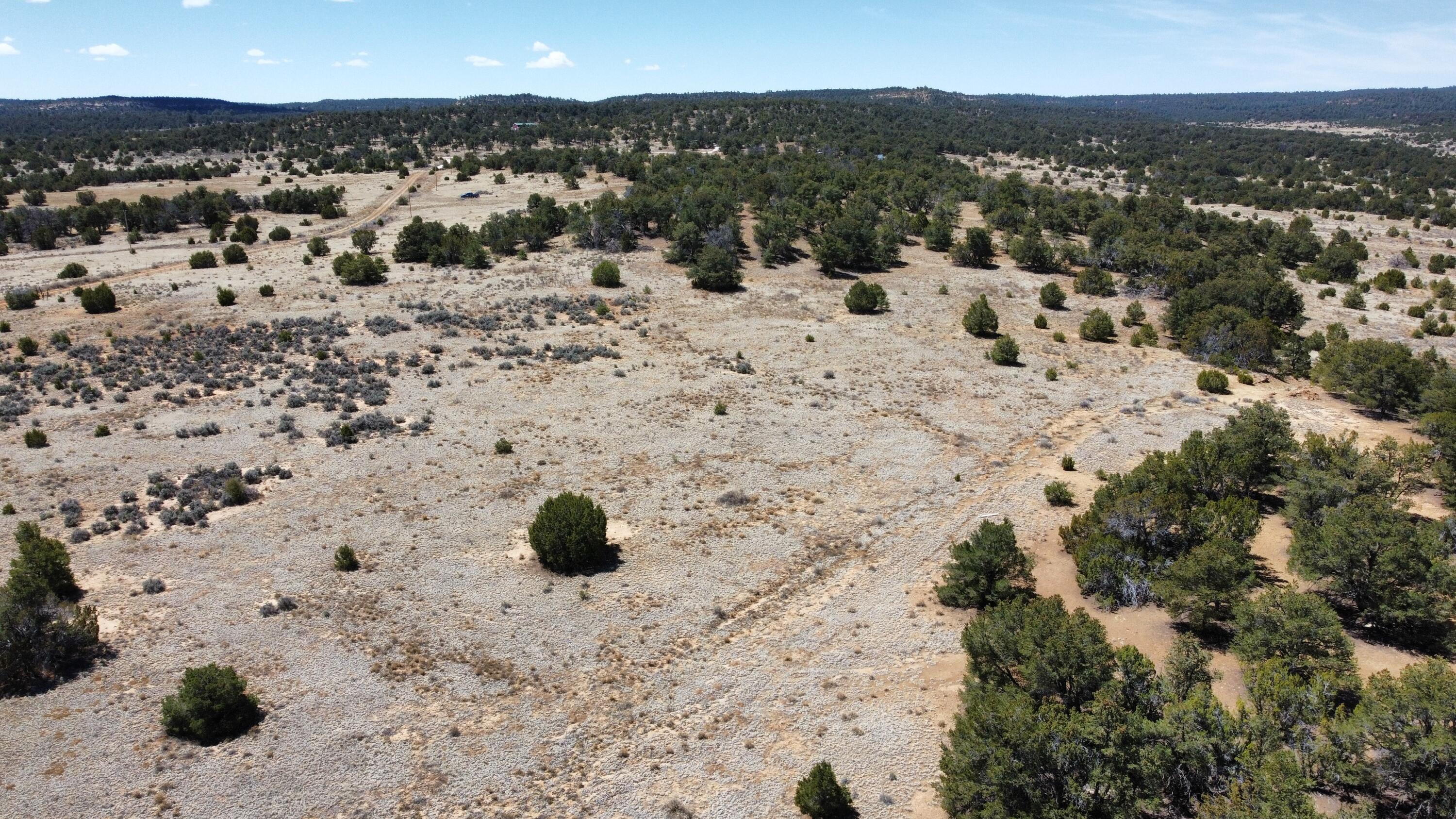 377 Five Gates Road, Ramah, New Mexico image 3
