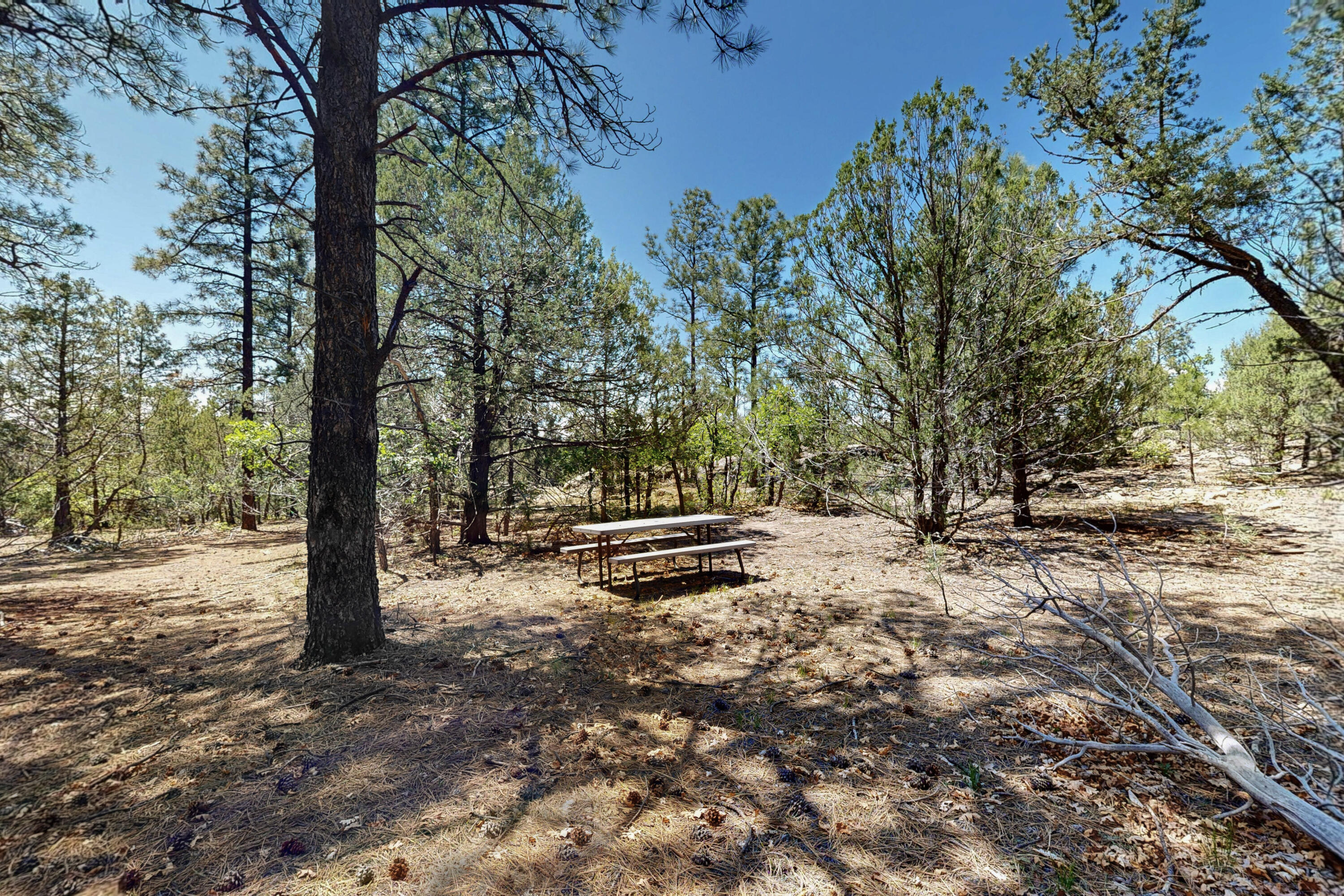 38 Chipmunk Lane, Tijeras, New Mexico image 20