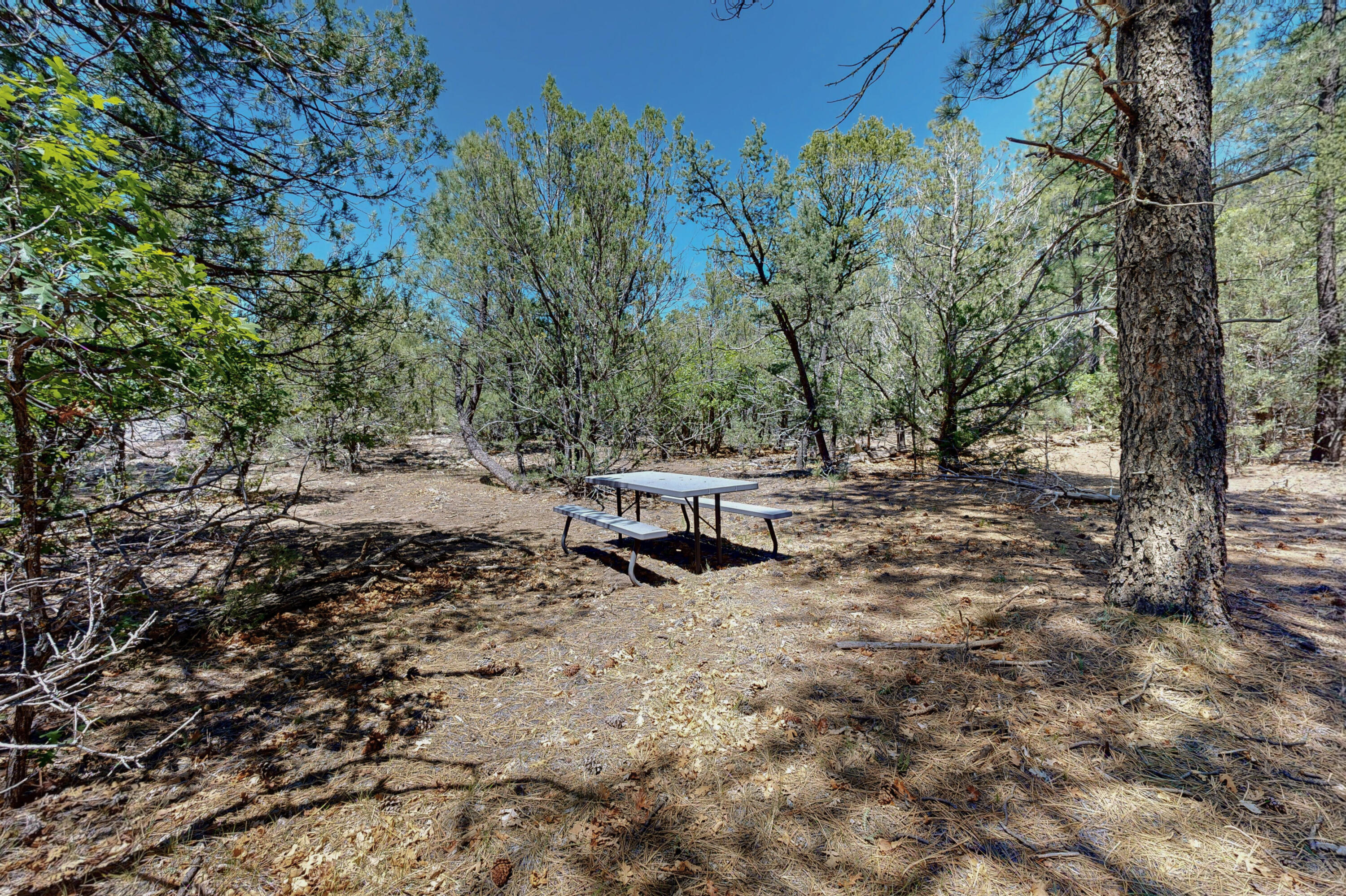 38 Chipmunk Lane, Tijeras, New Mexico image 21