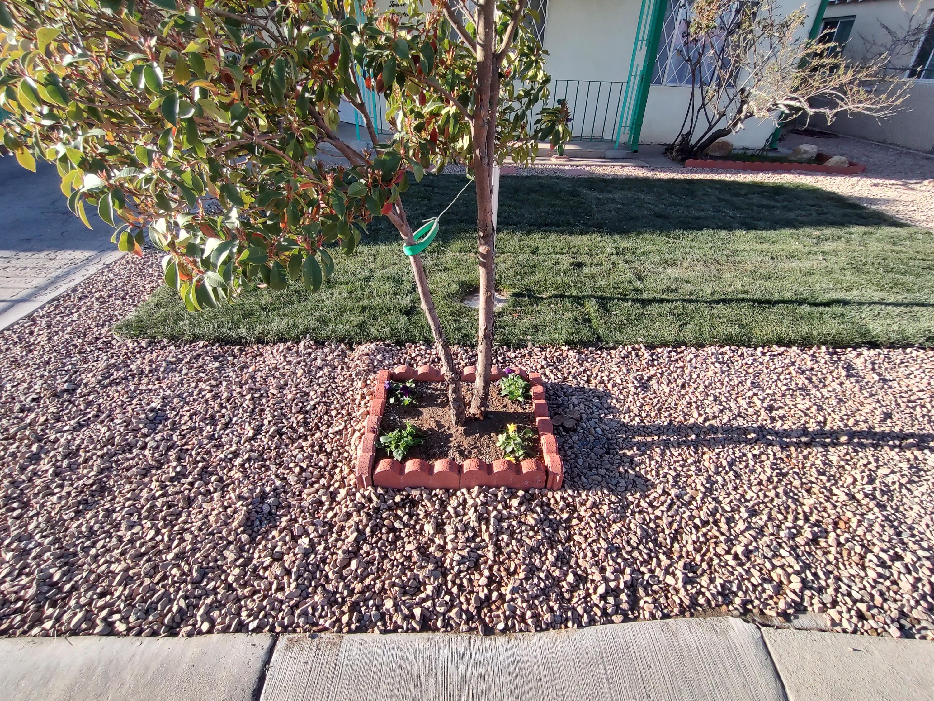 1214 Stover Avenue, Albuquerque, New Mexico image 19