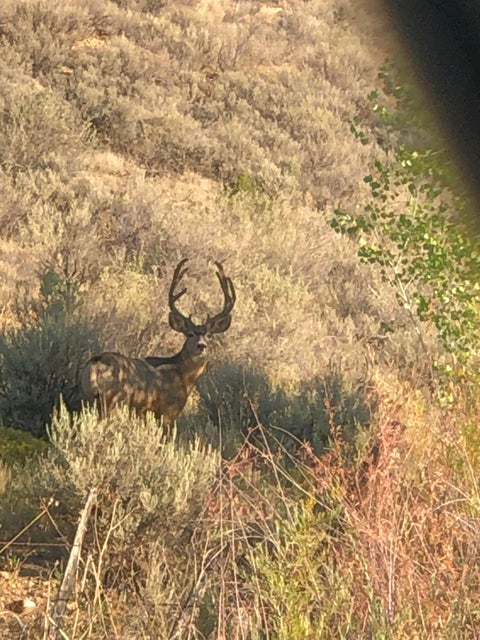 Vacant Land For Sale - Road 1191<br/> La Plata, NM 87418