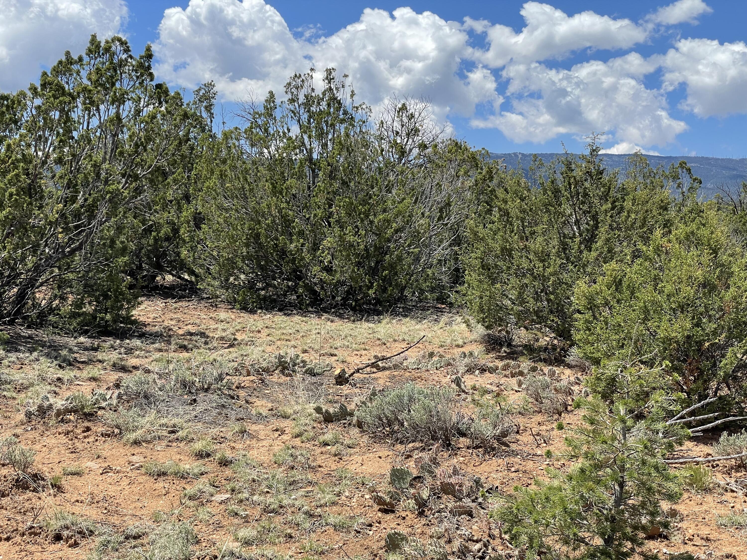 131 Paa Ko Drive, Sandia Park, New Mexico image 14