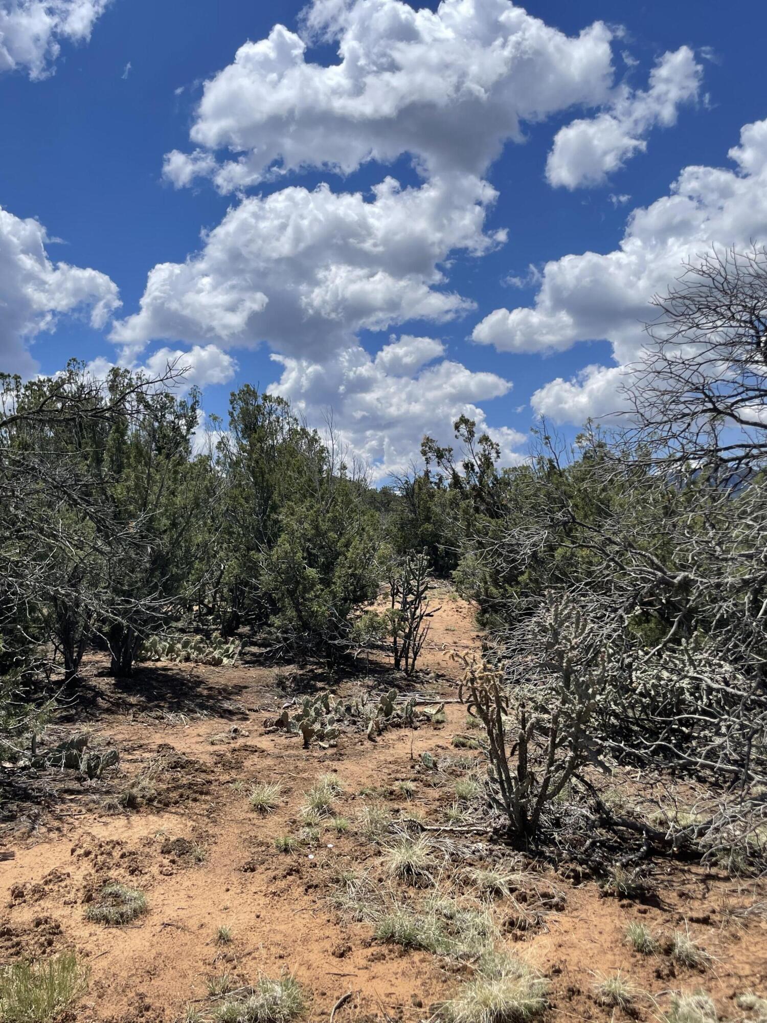 131 Paa Ko Drive, Sandia Park, New Mexico image 17