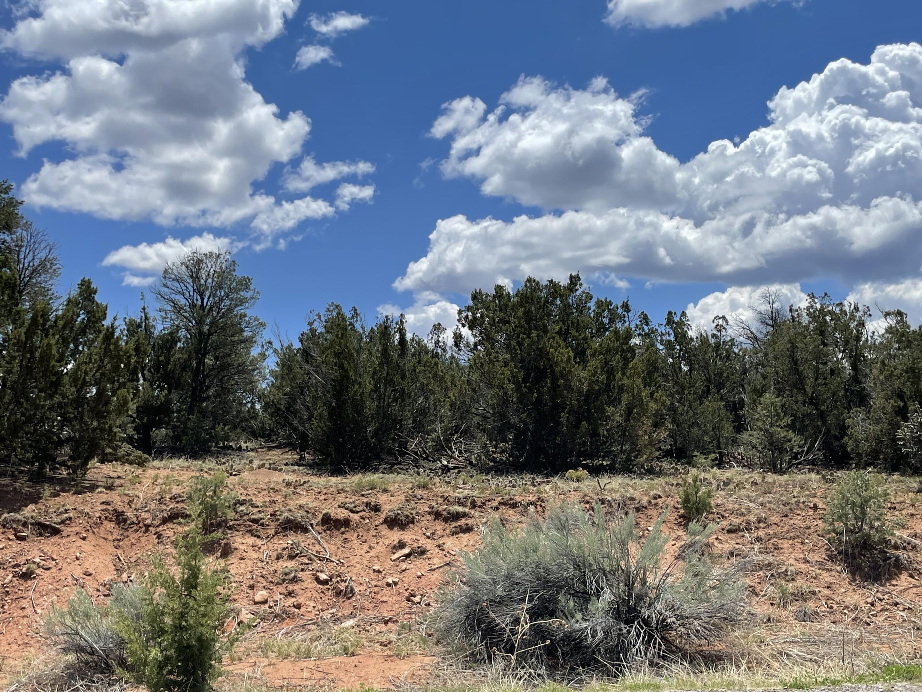 131 Paa Ko Drive, Sandia Park, New Mexico image 20