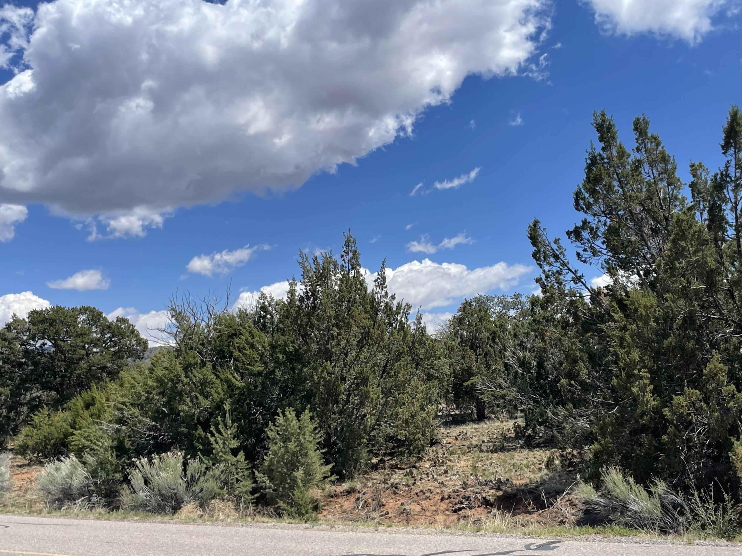 131 Paa Ko Drive, Sandia Park, New Mexico image 2