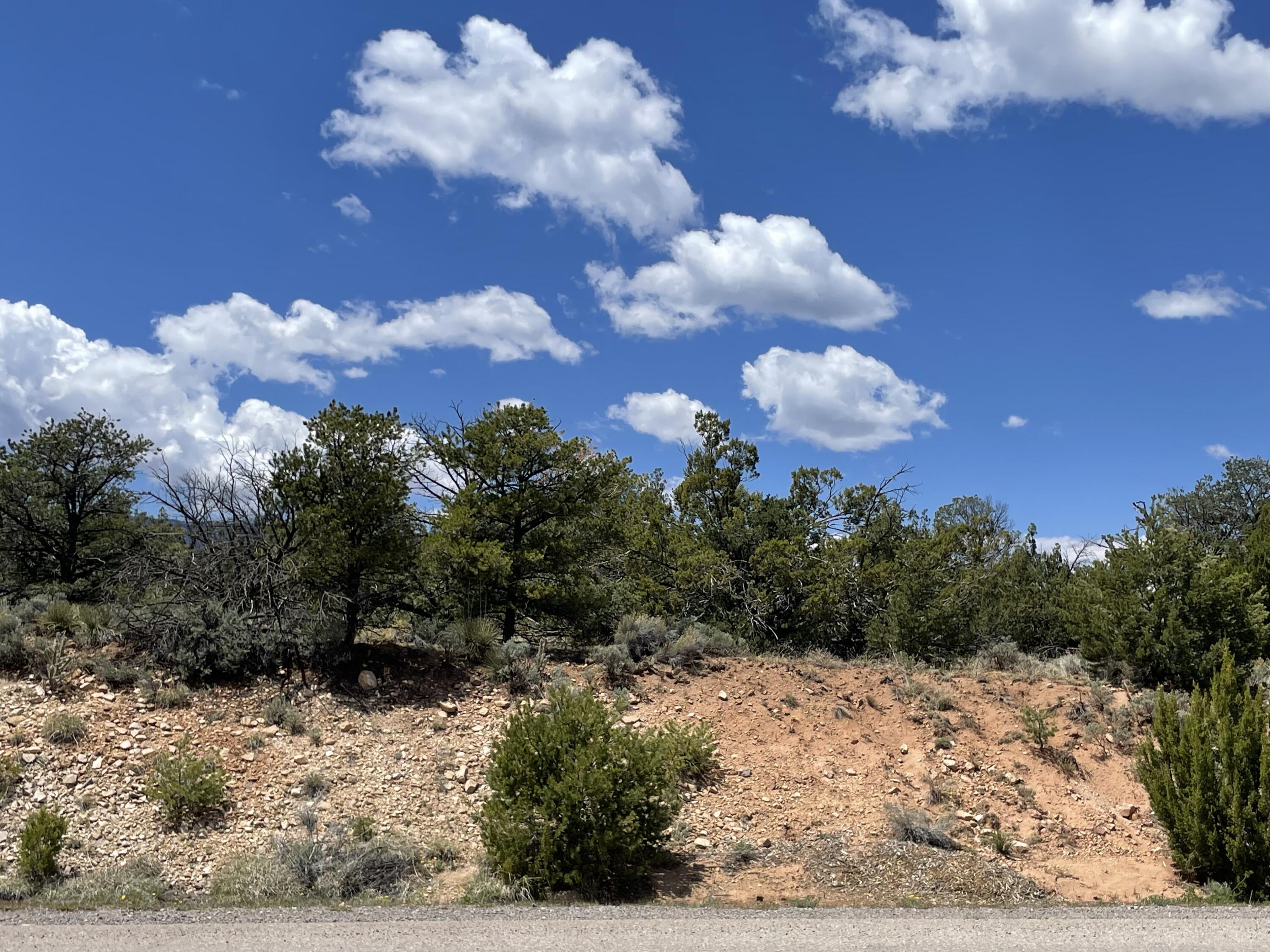 131 Paa Ko Drive, Sandia Park, New Mexico image 1