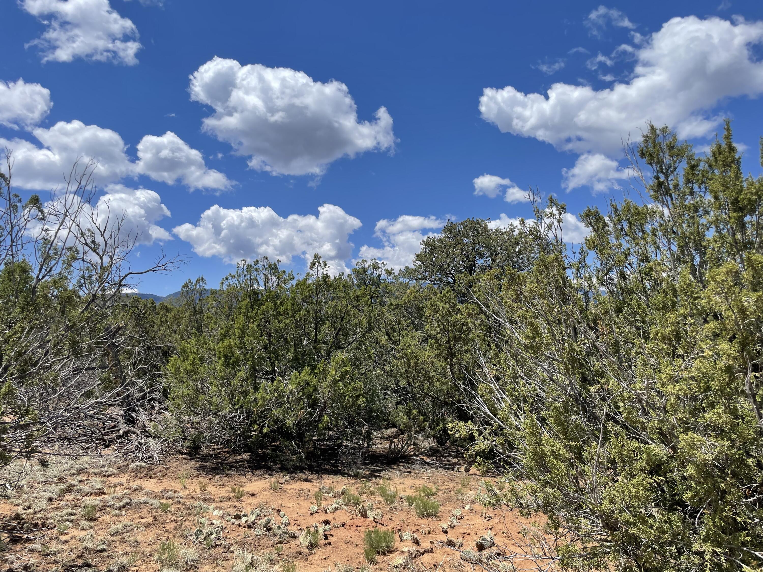 131 Paa Ko Drive, Sandia Park, New Mexico image 10