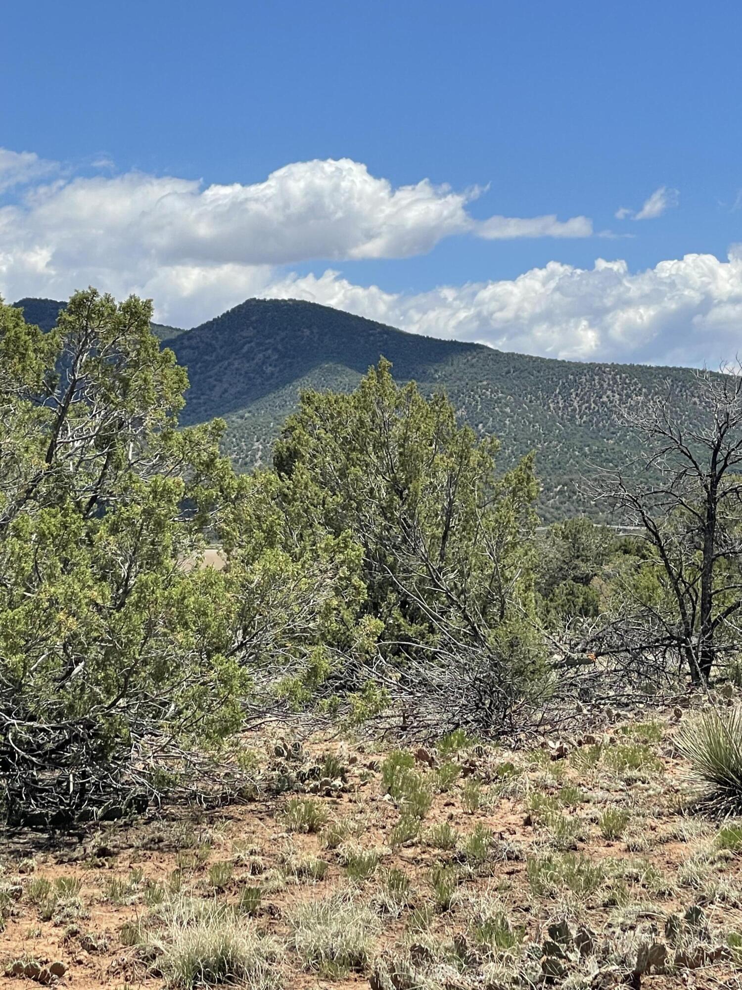 131 Paa Ko Drive, Sandia Park, New Mexico image 16