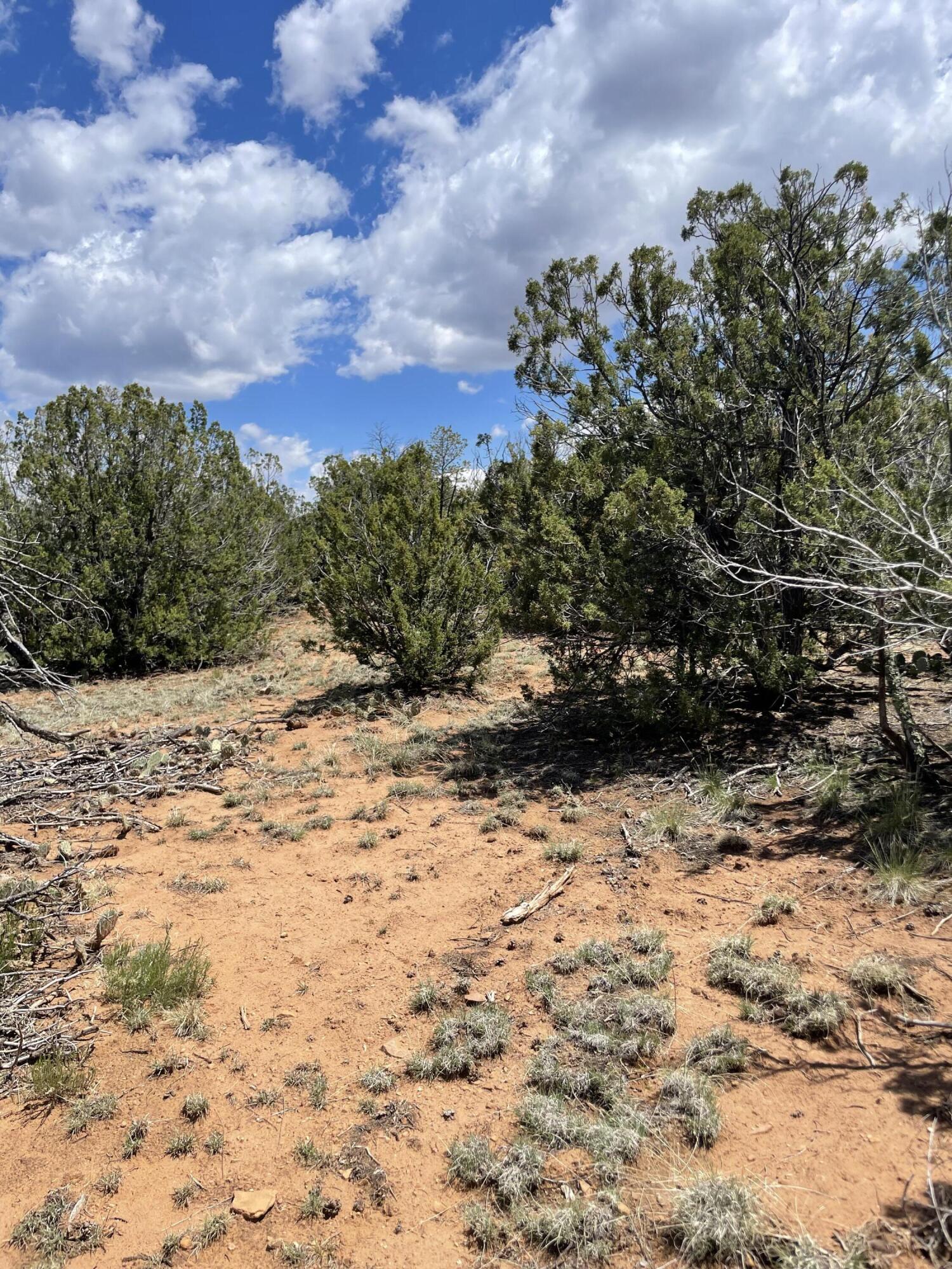 131 Paa Ko Drive, Sandia Park, New Mexico image 7