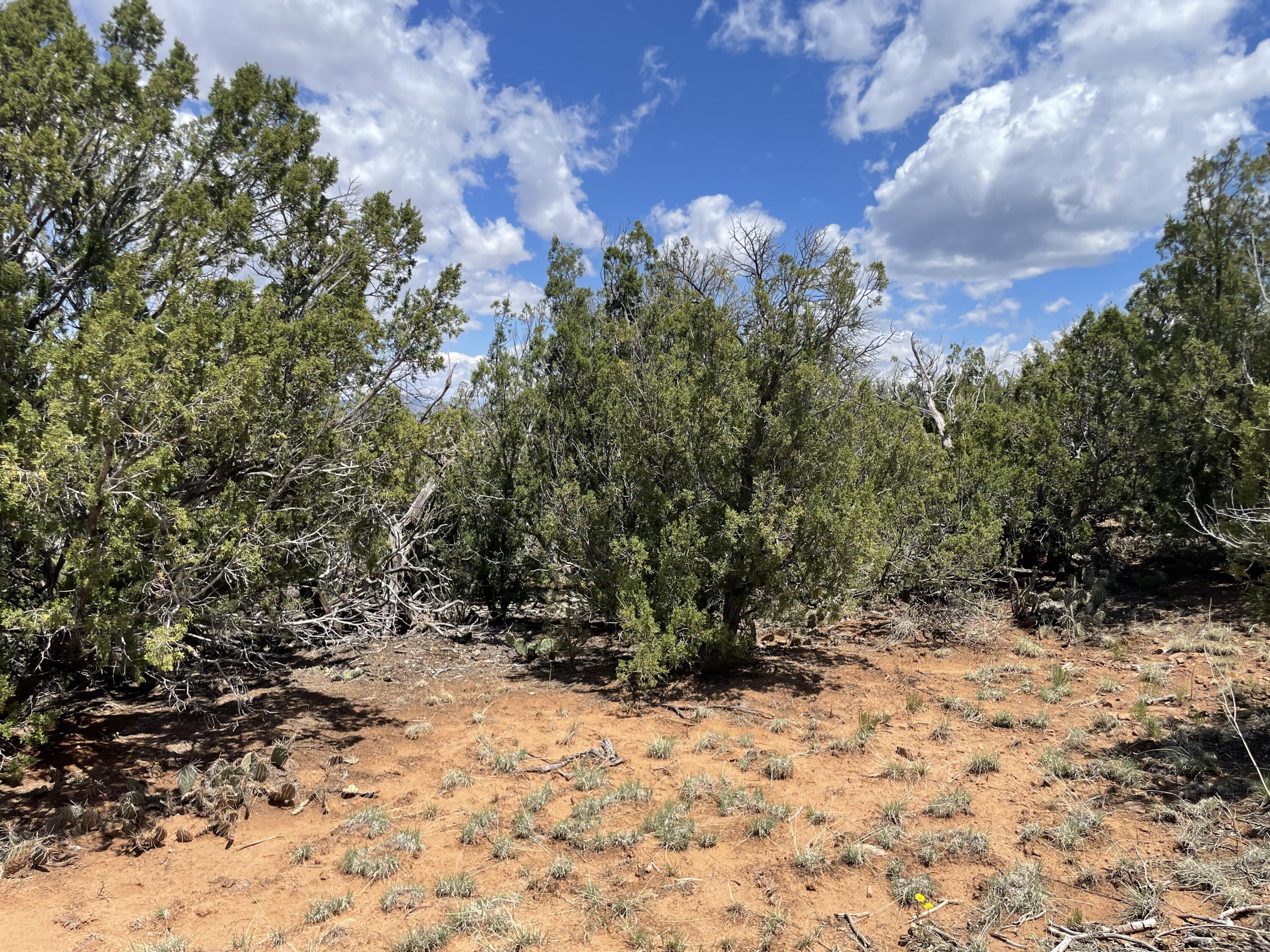 131 Paa Ko Drive, Sandia Park, New Mexico image 12
