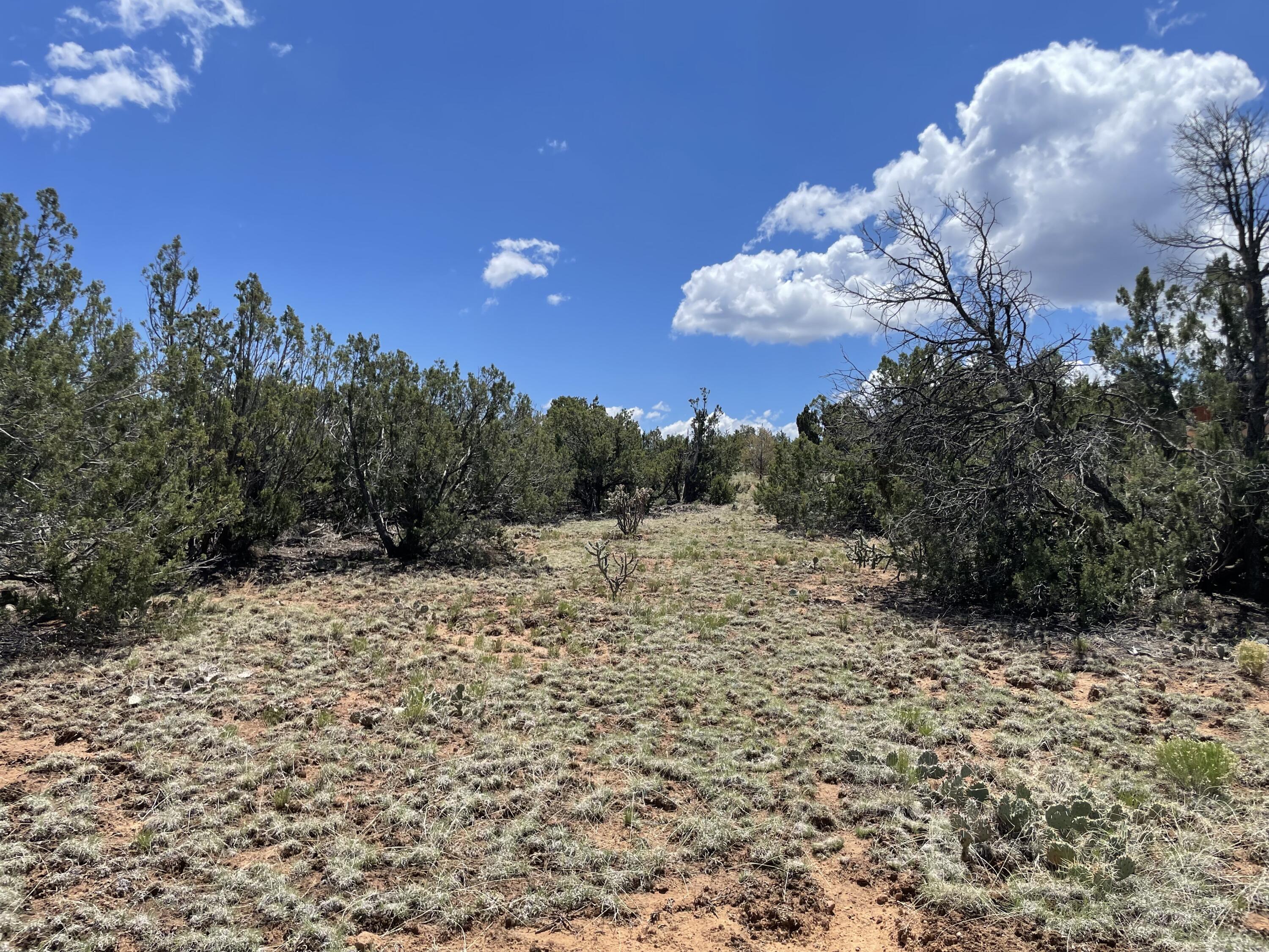 131 Paa Ko Drive, Sandia Park, New Mexico image 6