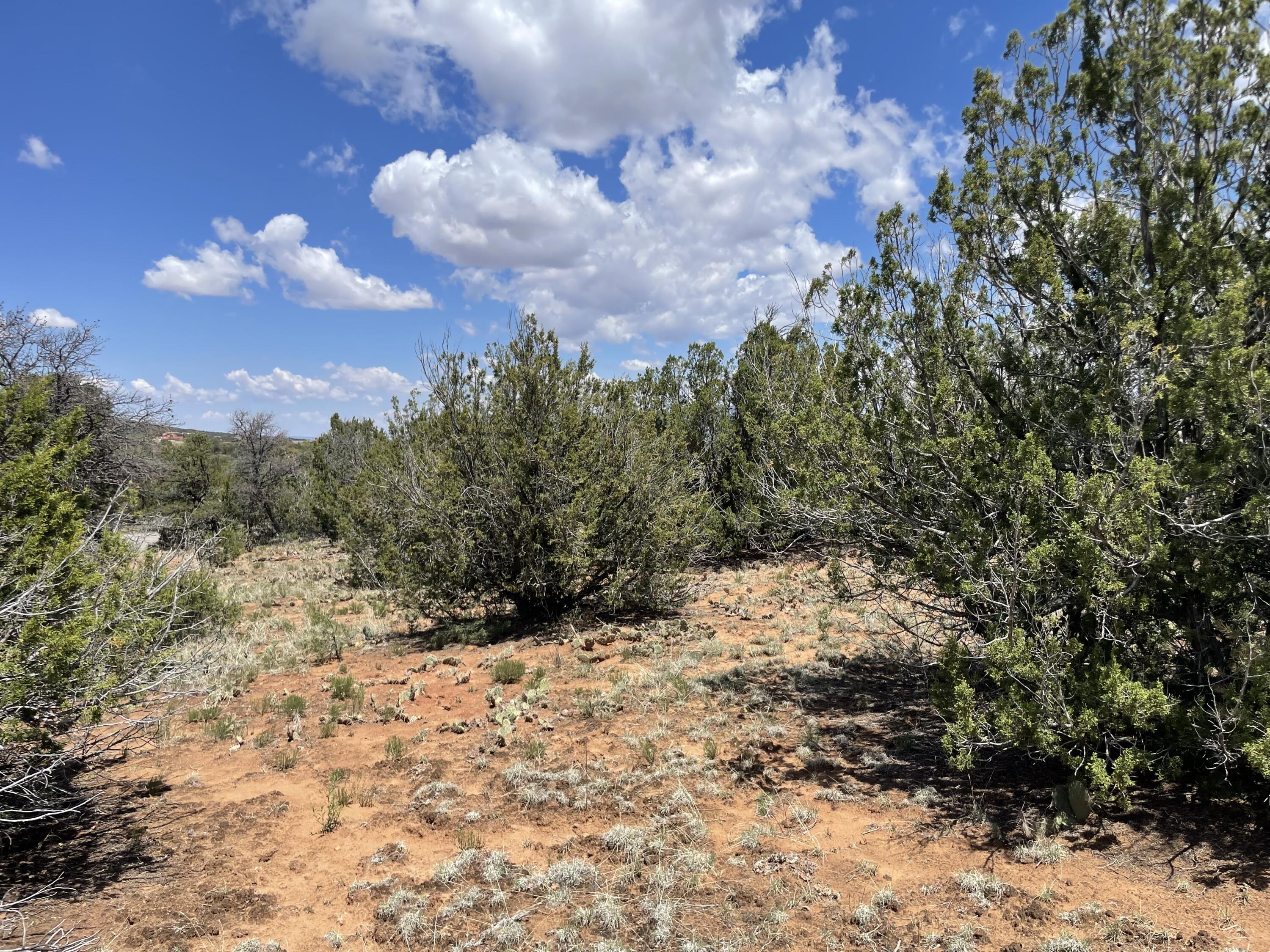 131 Paa Ko Drive, Sandia Park, New Mexico image 9