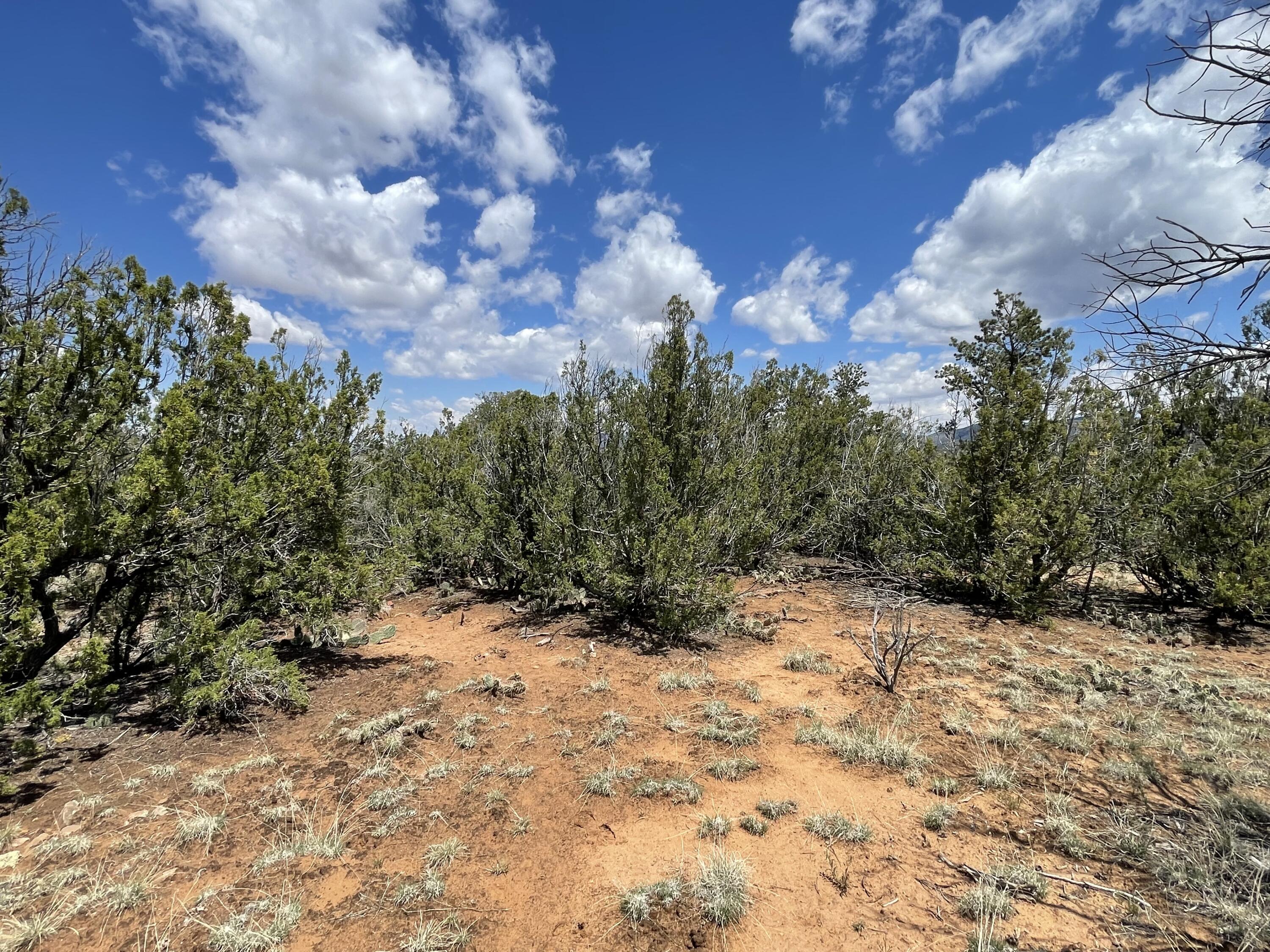 131 Paa Ko Drive, Sandia Park, New Mexico image 19
