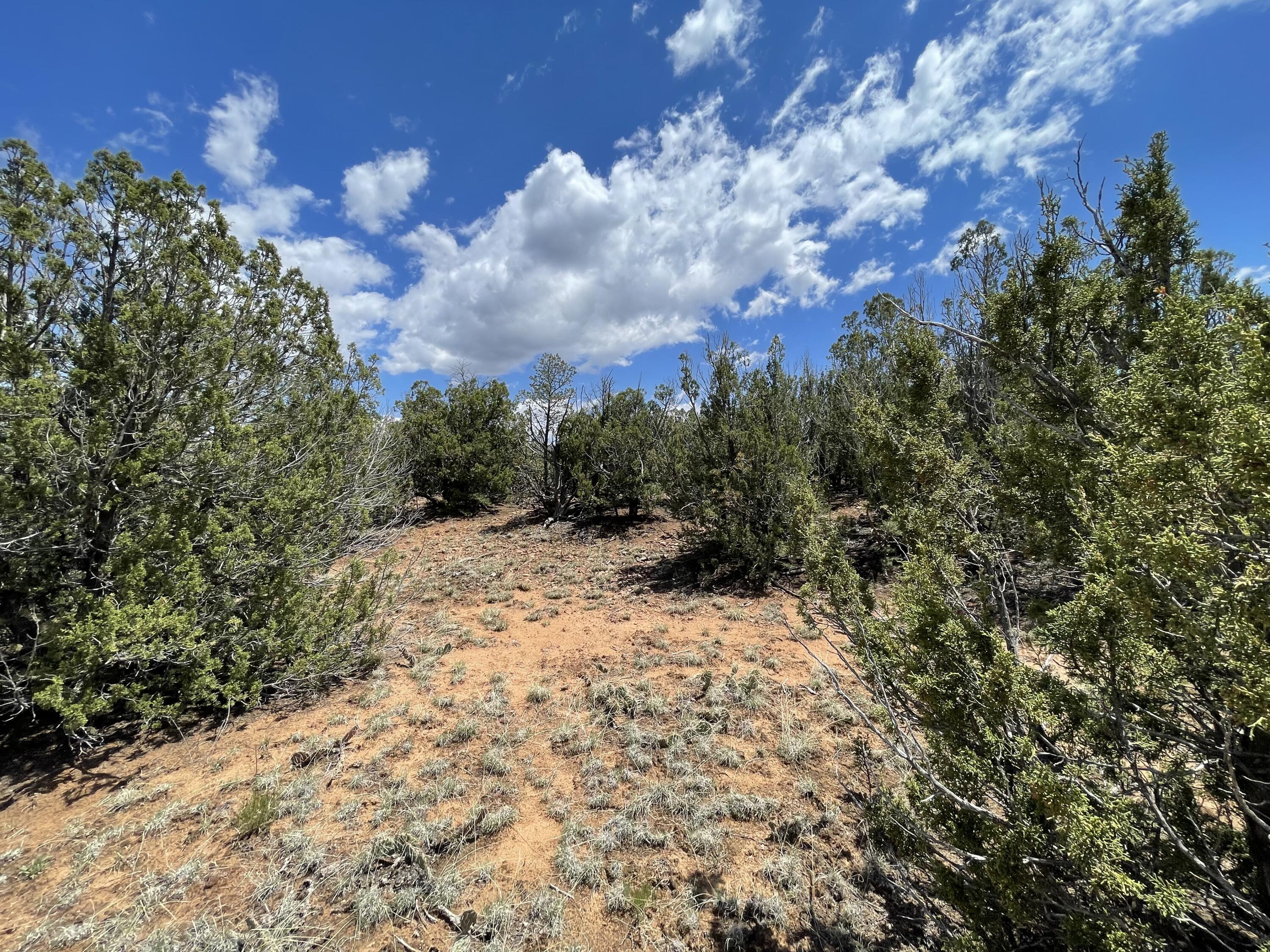 131 Paa Ko Drive, Sandia Park, New Mexico image 8