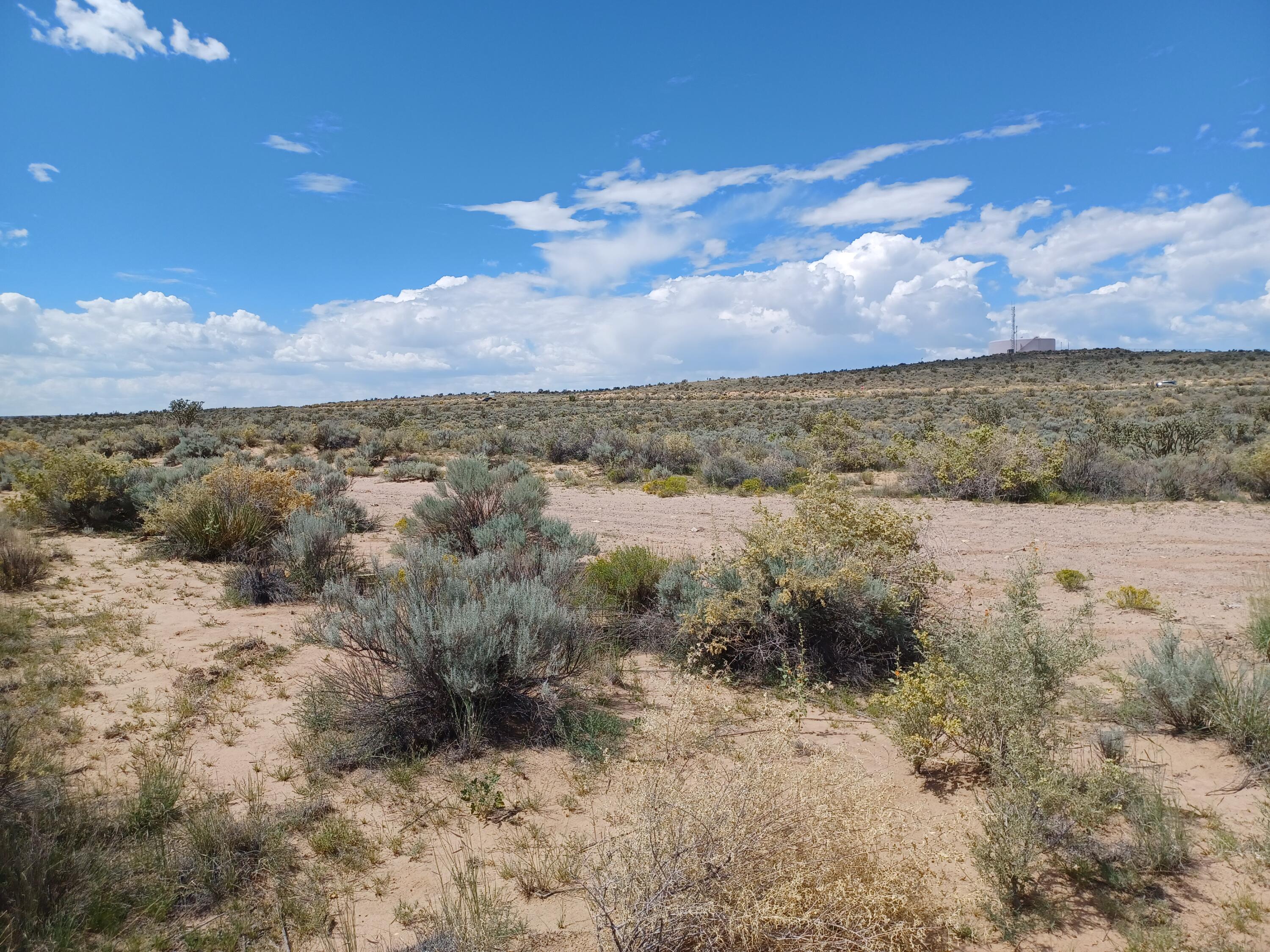 Davis Avenue, Rio Rancho, New Mexico image 4