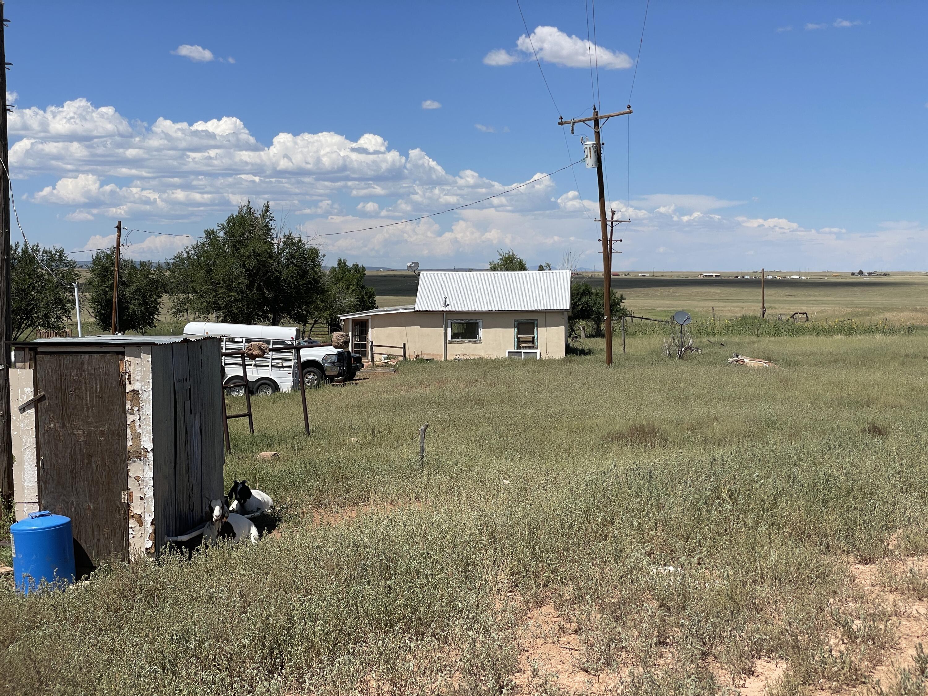 255 E Cantas Road Road, Mountainair, New Mexico image 5