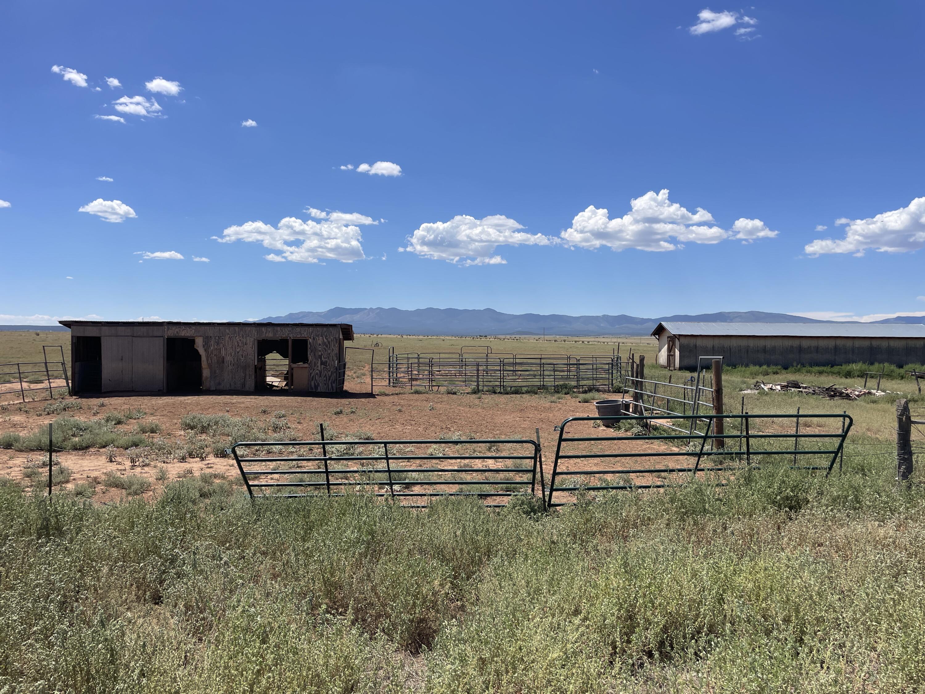 255 E Cantas Road Road, Mountainair, New Mexico image 4