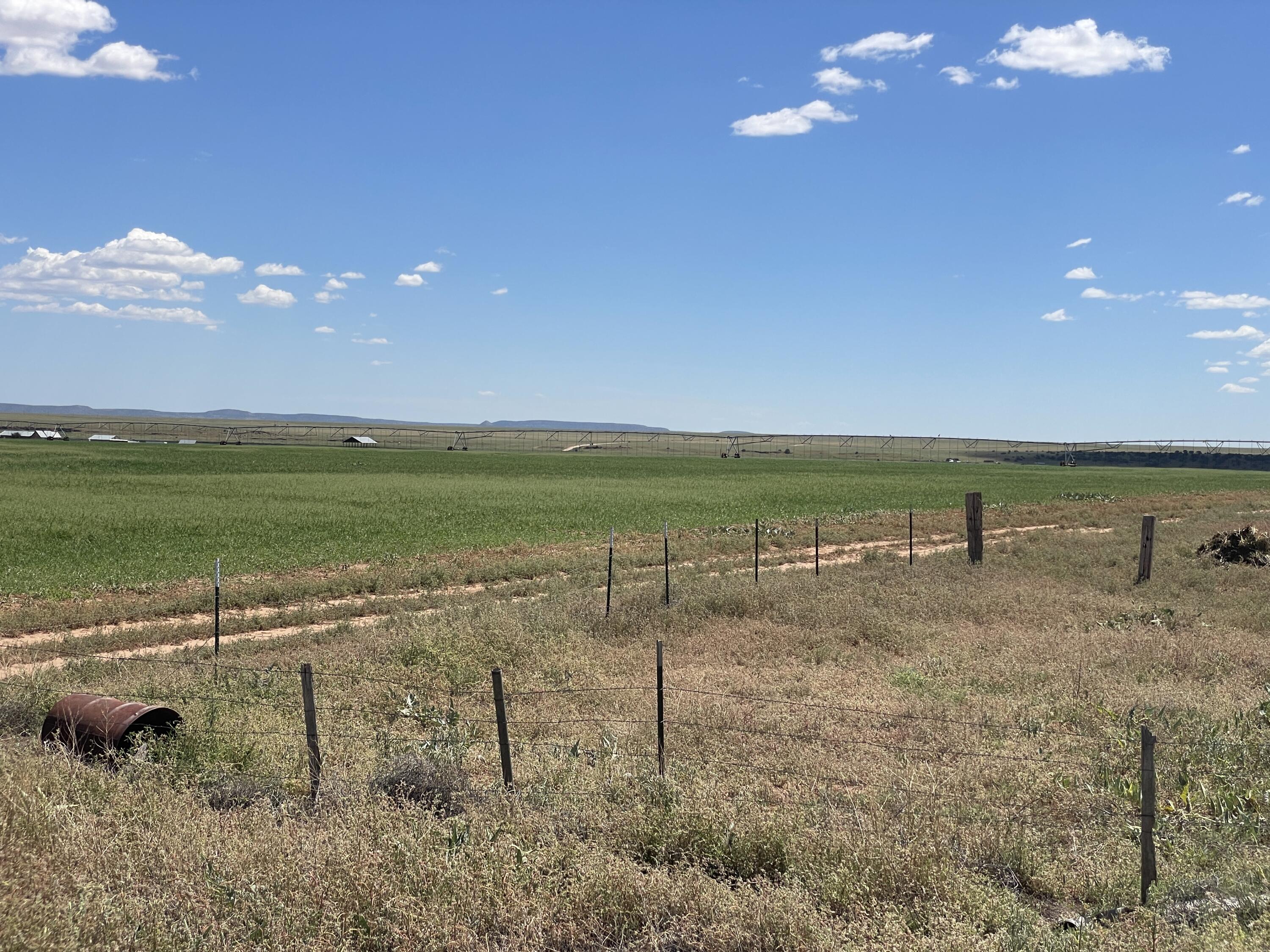 255 E Cantas Road Road, Mountainair, New Mexico image 9