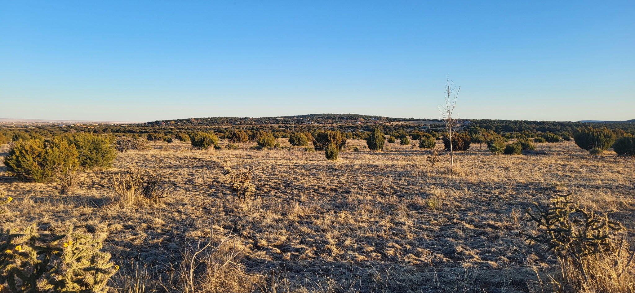 224 Entranosa Road, Edgewood, New Mexico image 6