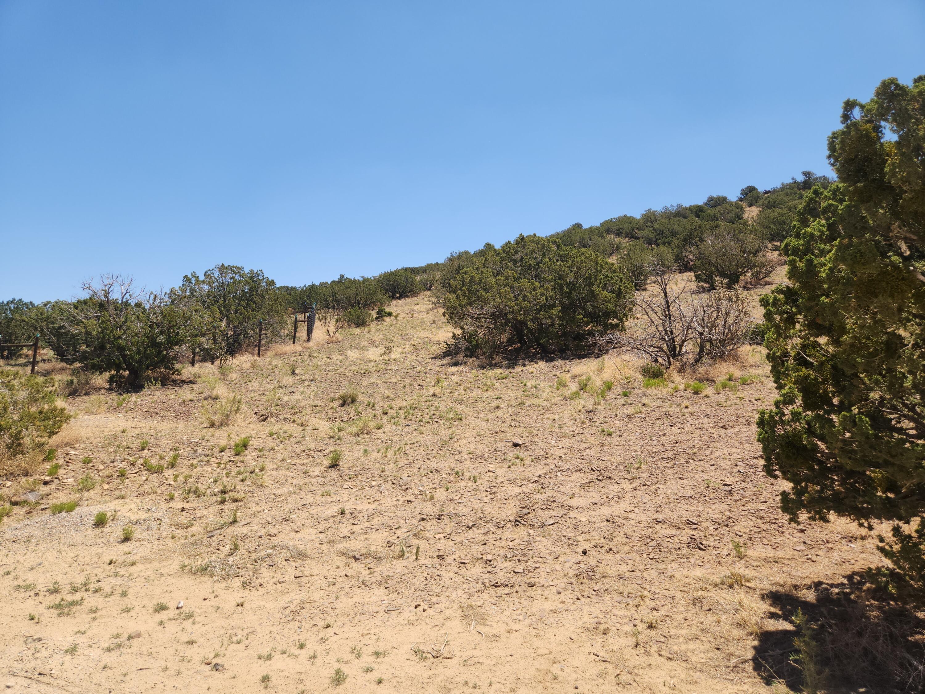 4 Charlotte Lane, Placitas, New Mexico image 19