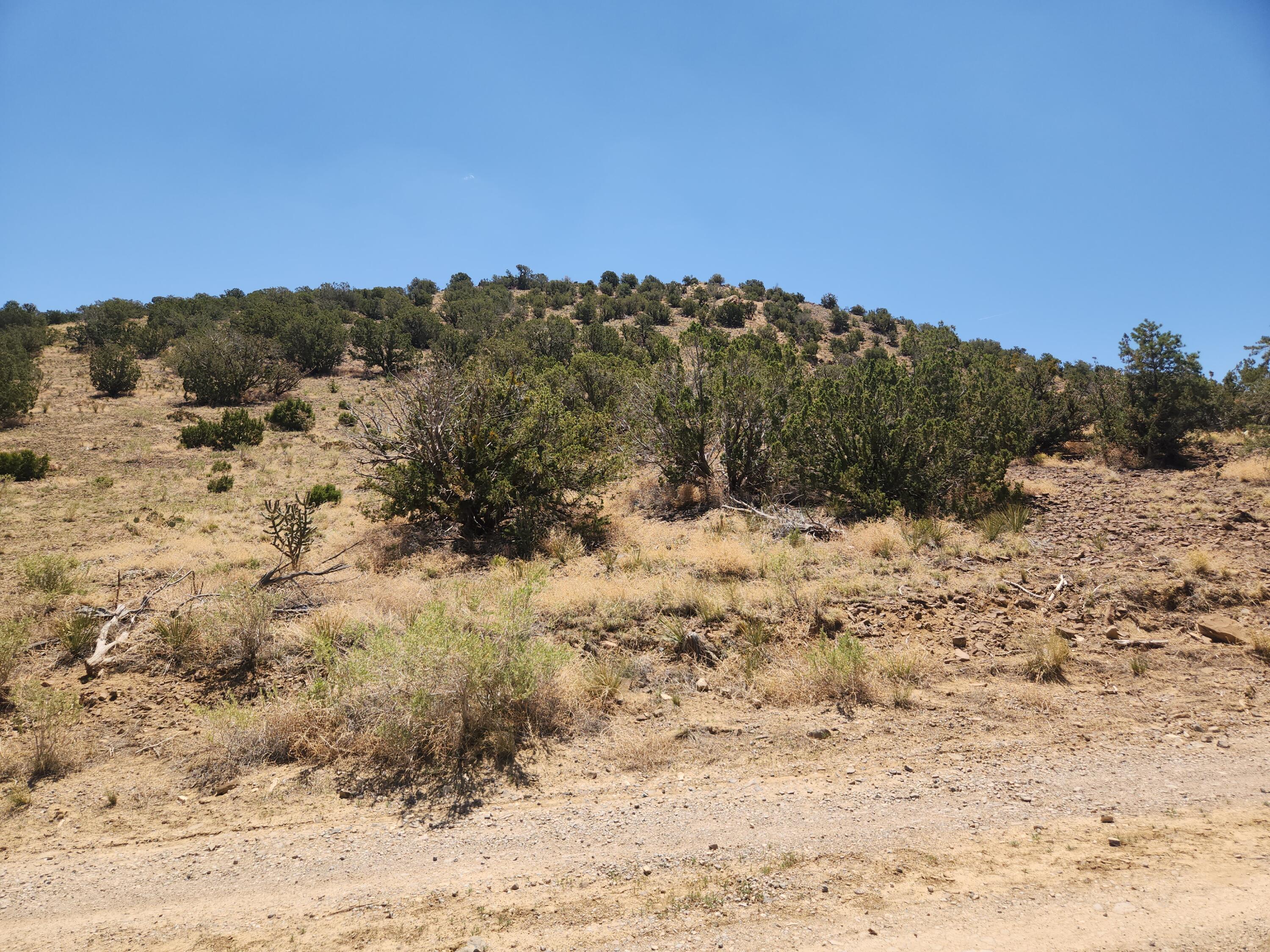 4 Charlotte Lane, Placitas, New Mexico image 6
