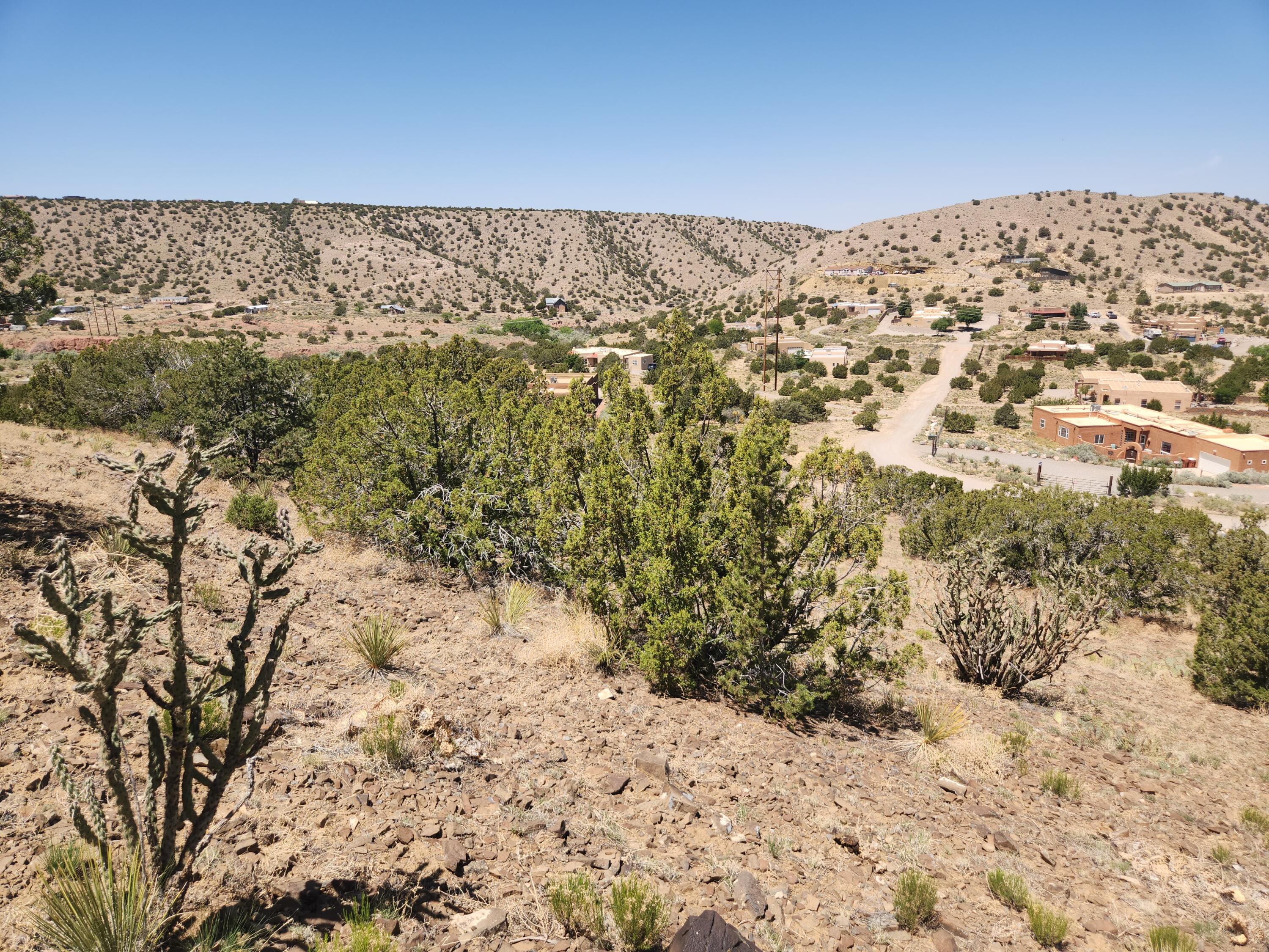 4 Charlotte Lane, Placitas, New Mexico image 18