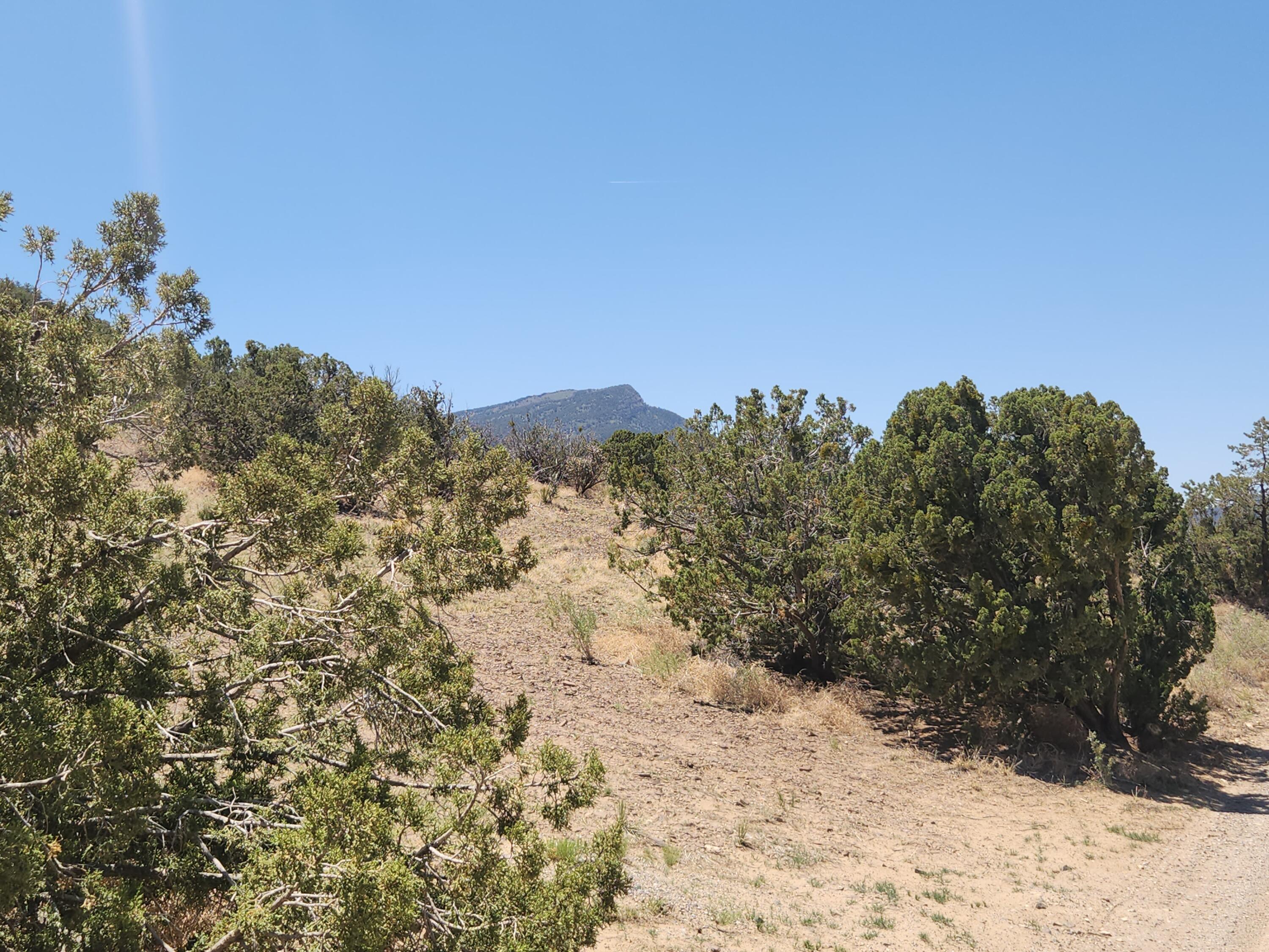 4 Charlotte Lane, Placitas, New Mexico image 1