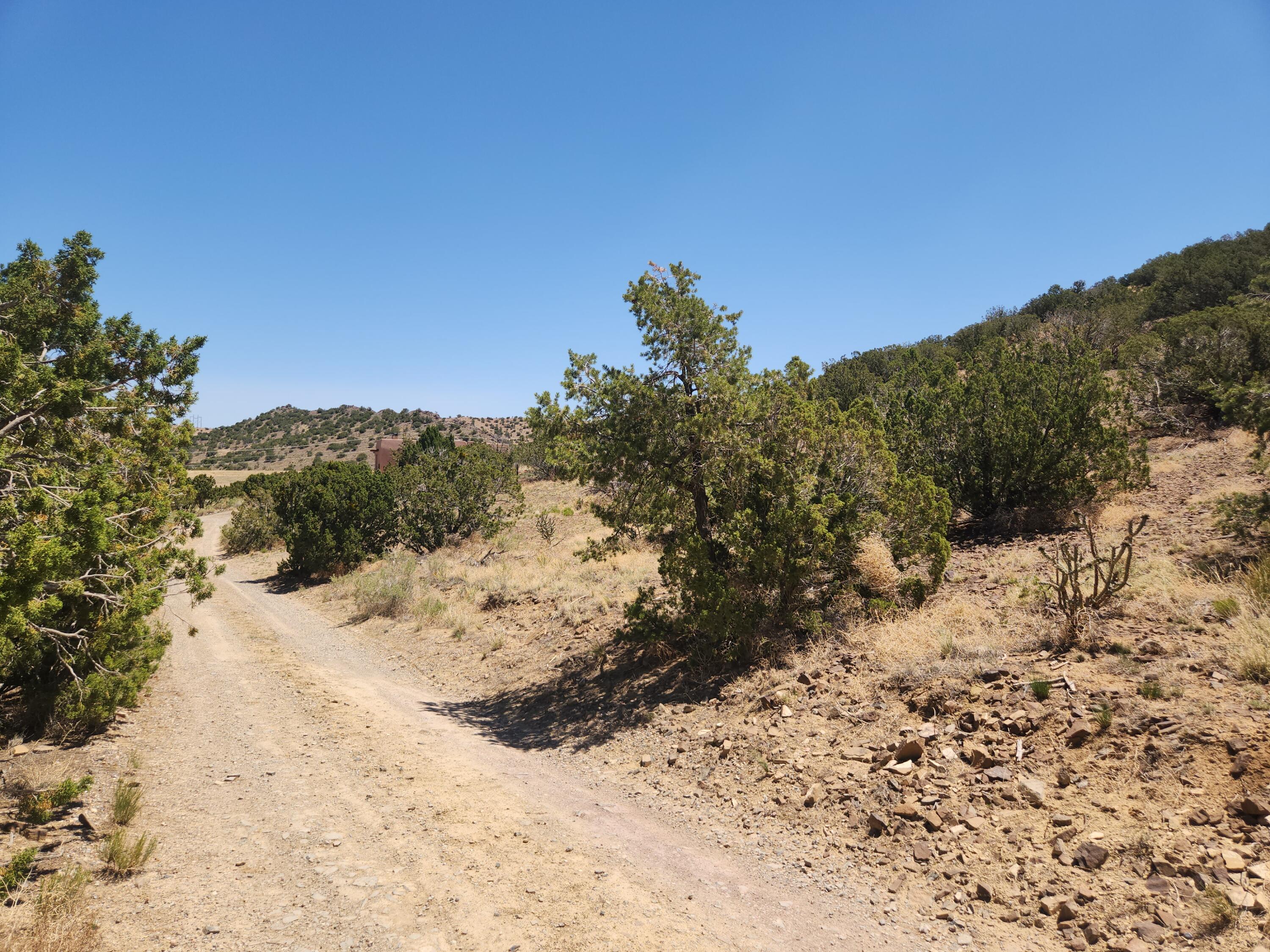 4 Charlotte Lane, Placitas, New Mexico image 7