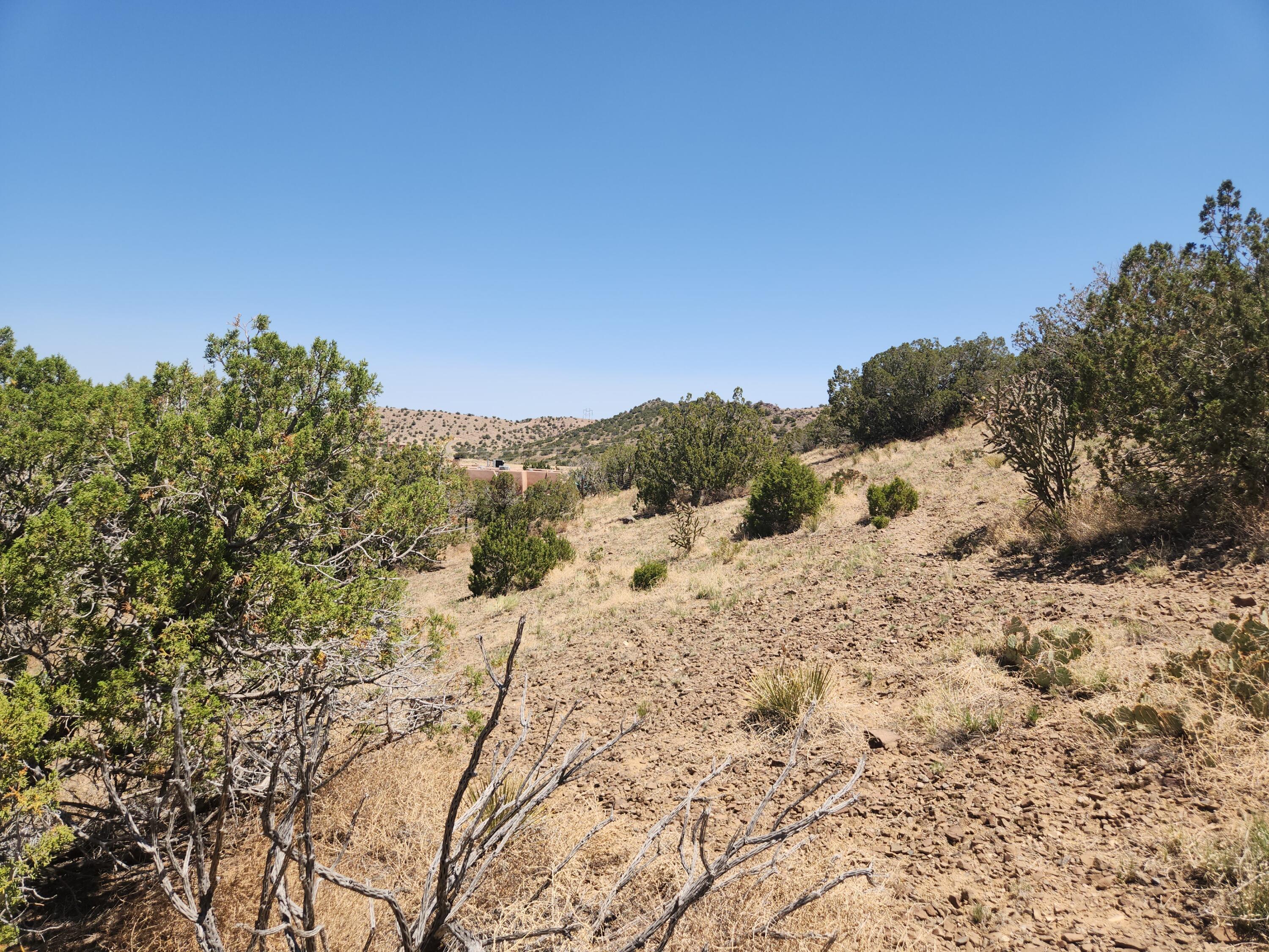 4 Charlotte Lane, Placitas, New Mexico image 9