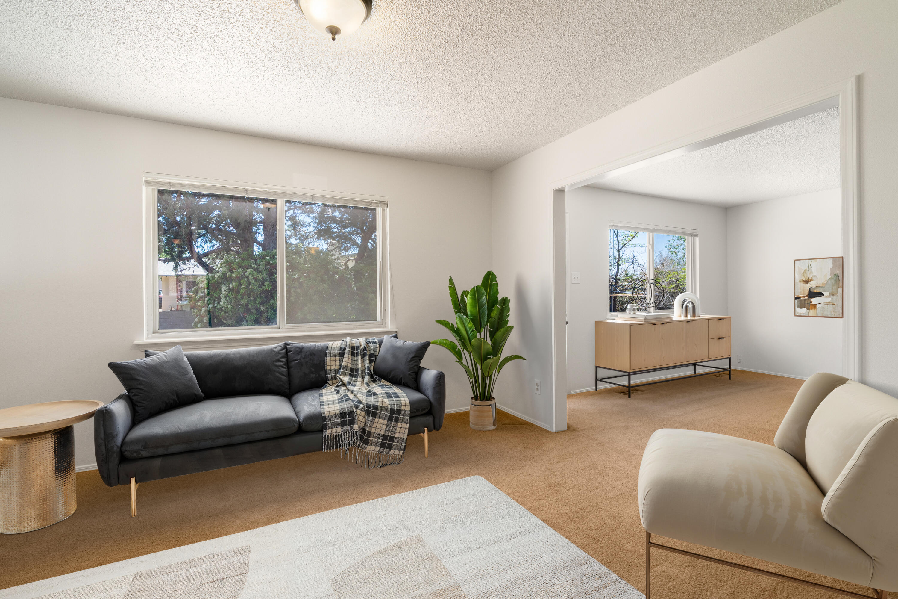 12012 Elvin Place, Albuquerque, New Mexico image 19