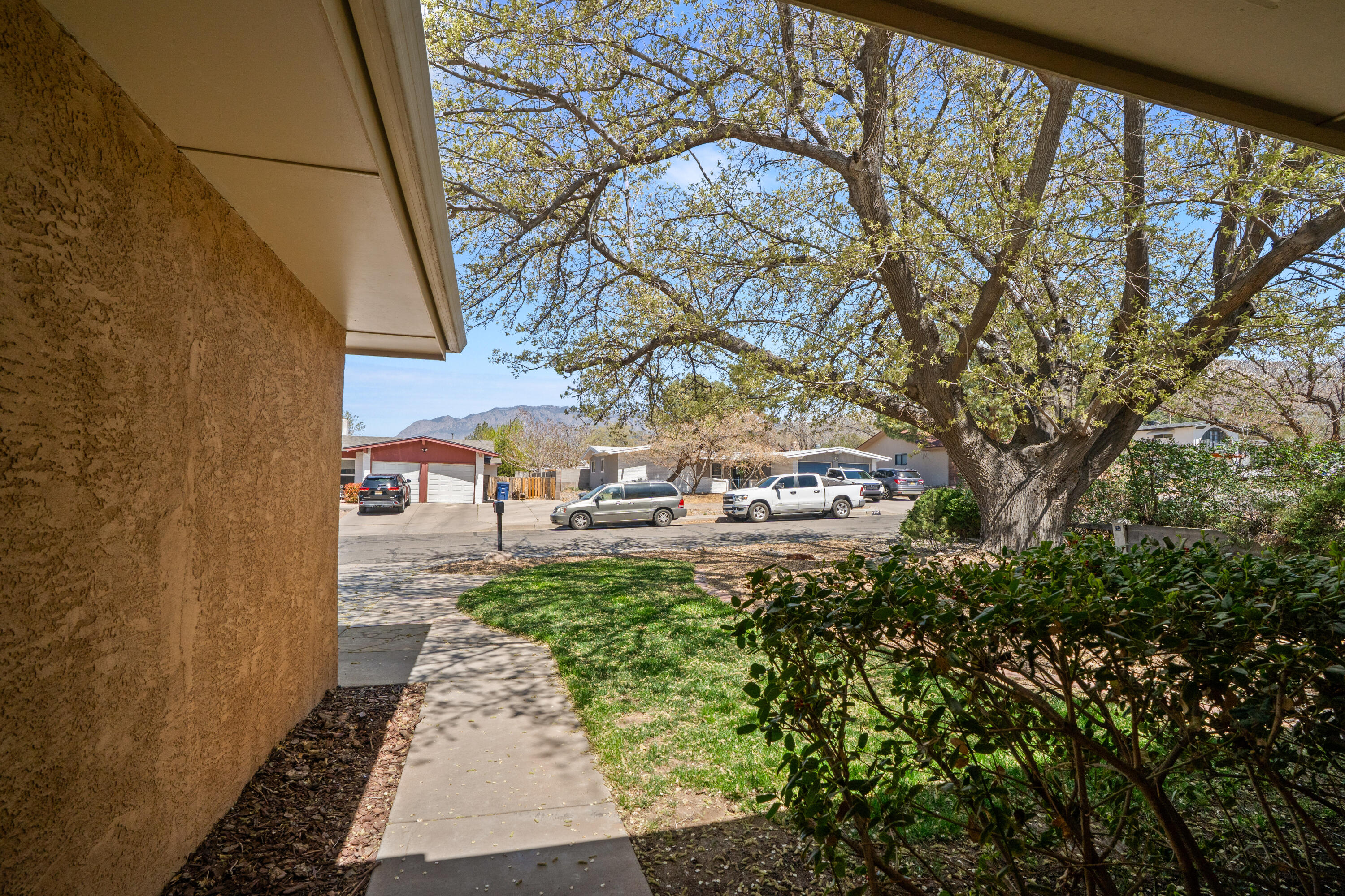 12012 Elvin Place, Albuquerque, New Mexico image 7