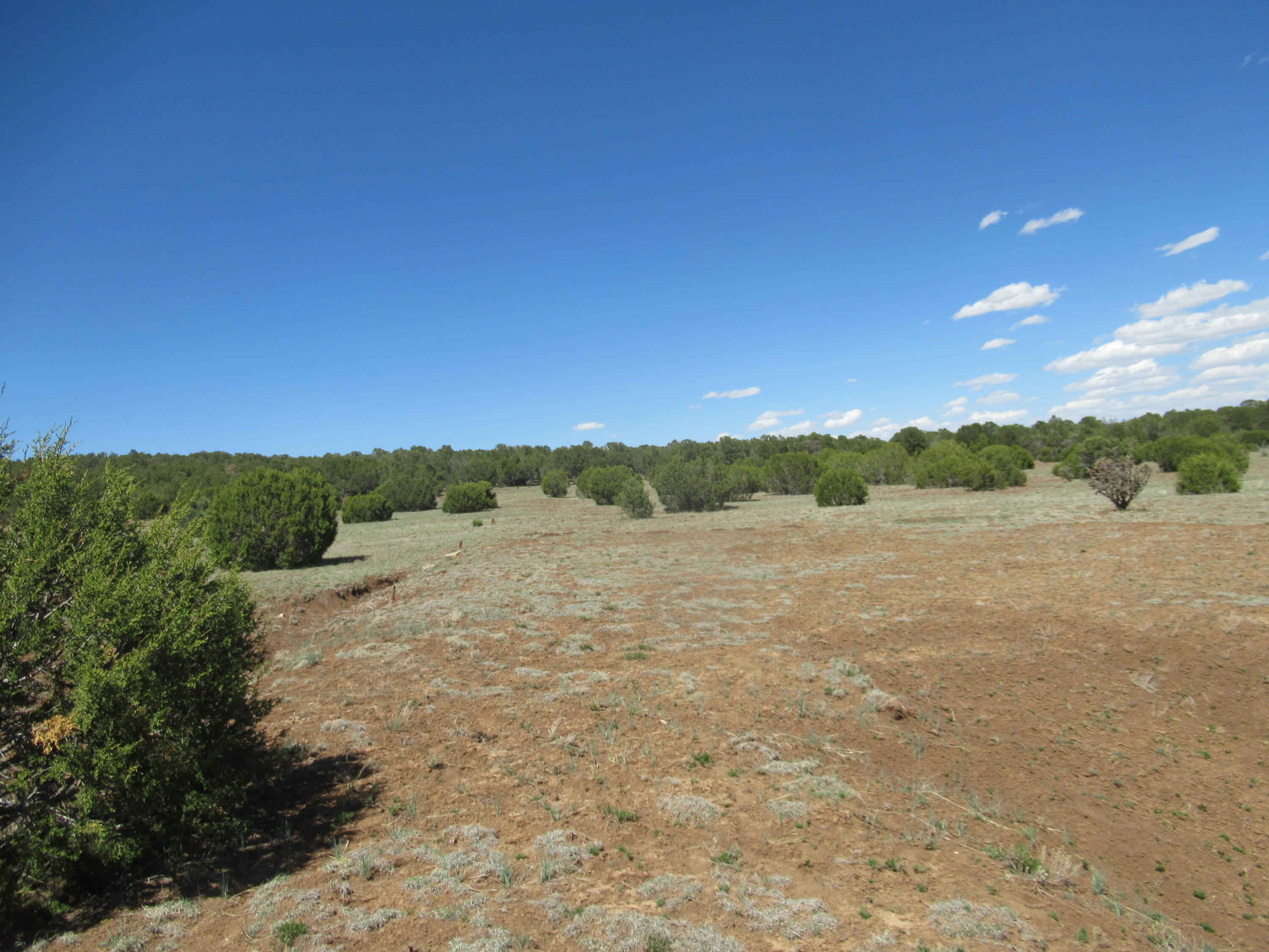 240 Jesse James Road, Tijeras, New Mexico image 28