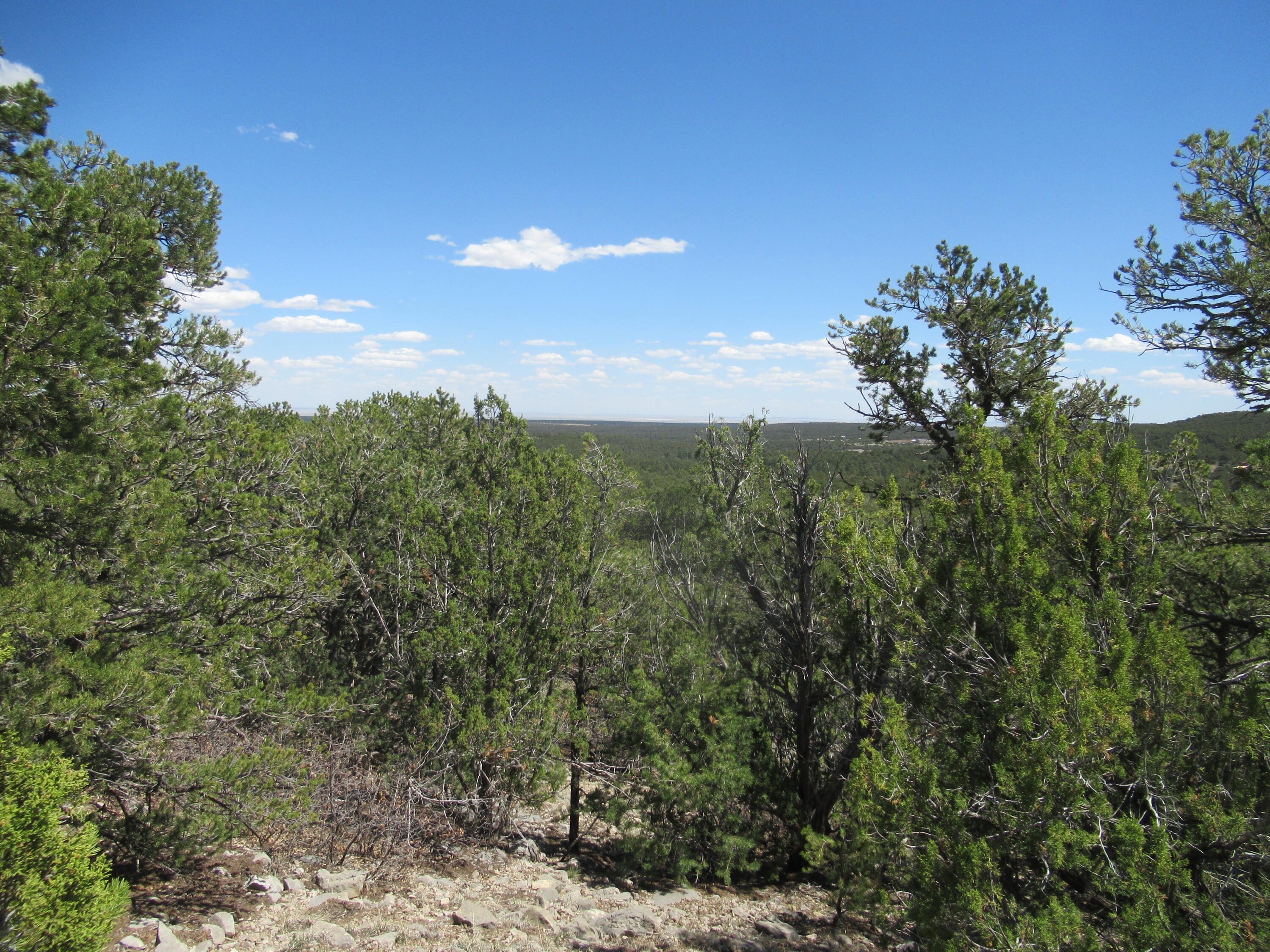 240 Jesse James Road, Tijeras, New Mexico image 4