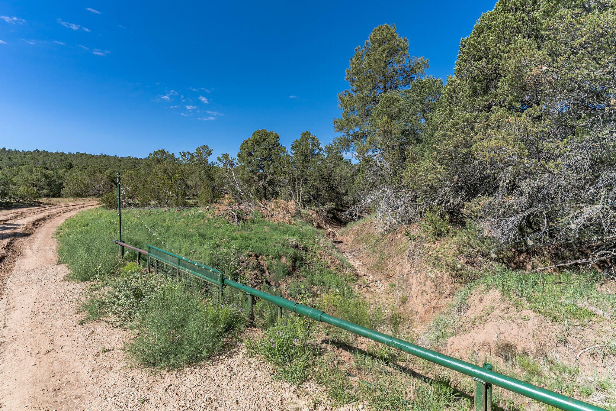 240 Jesse James Road, Tijeras, New Mexico image 33