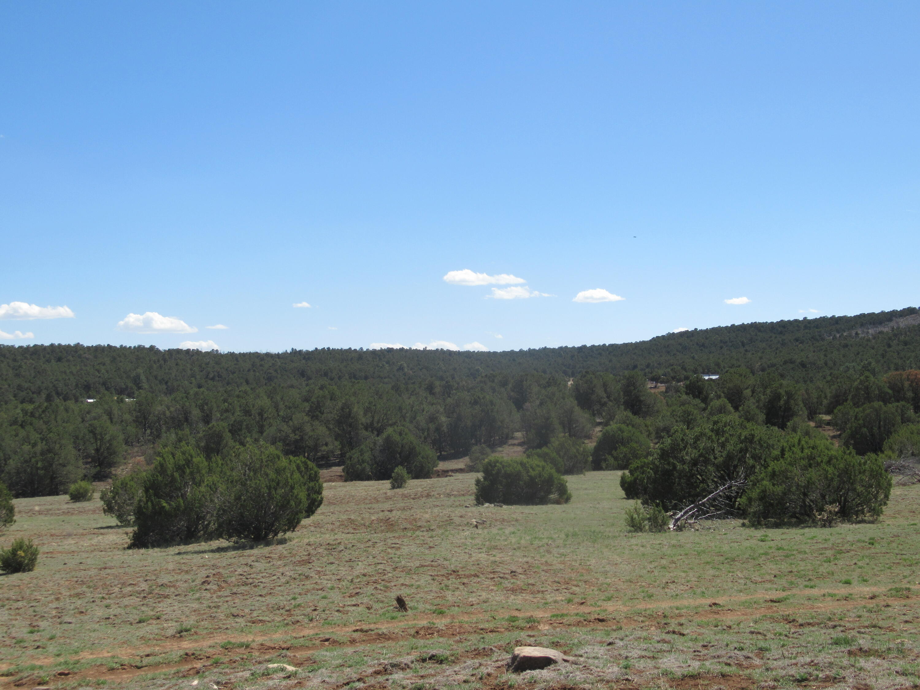 240 Jesse James Road, Tijeras, New Mexico image 27