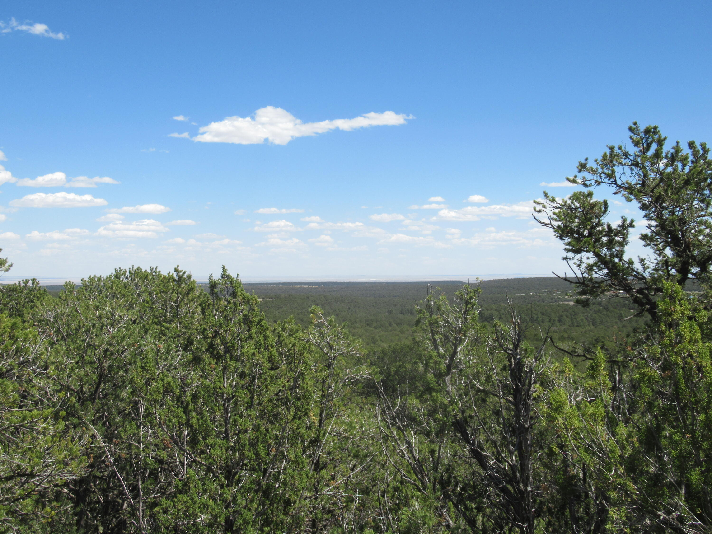 240 Jesse James Road, Tijeras, New Mexico image 21