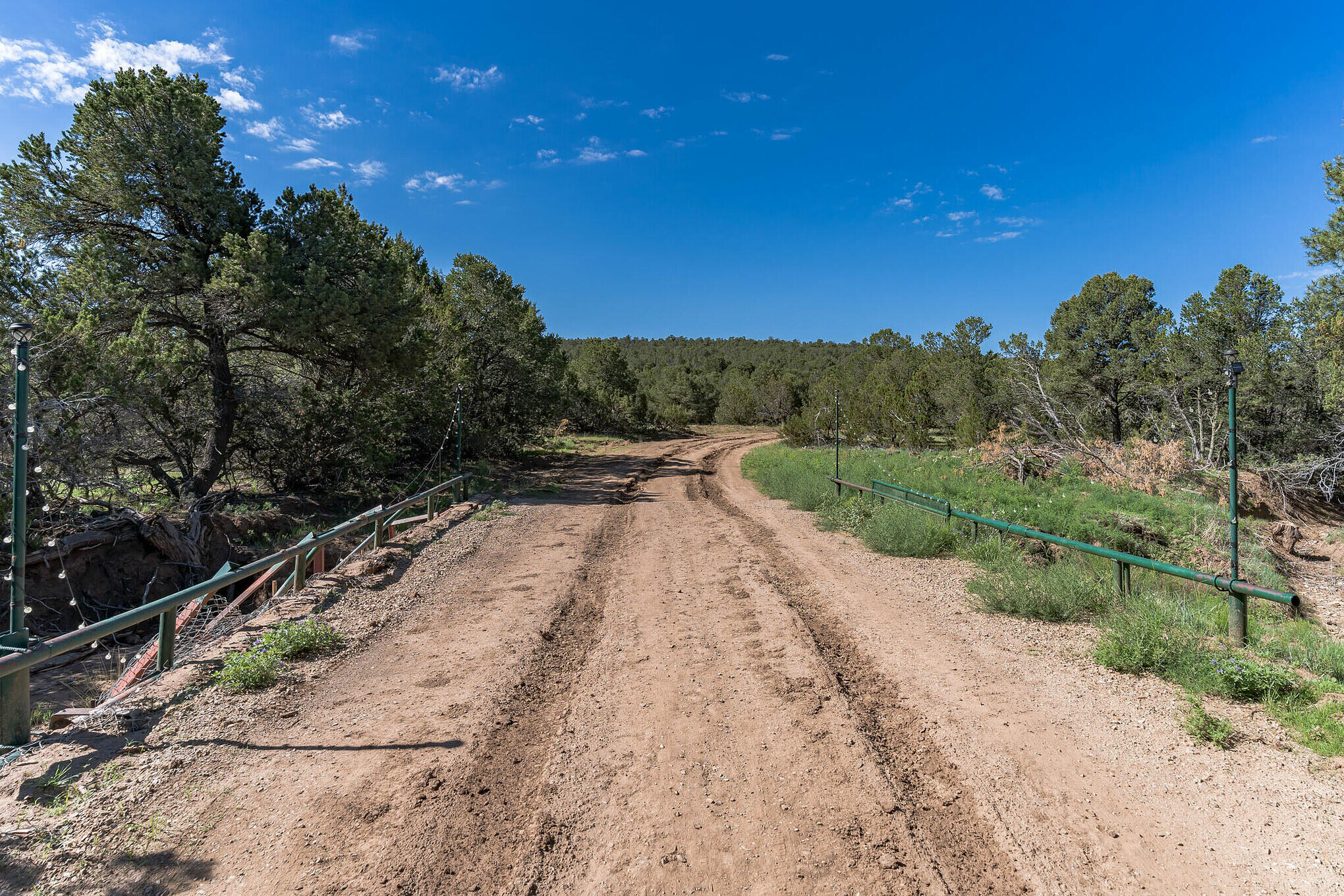 240 Jesse James Road, Tijeras, New Mexico image 34