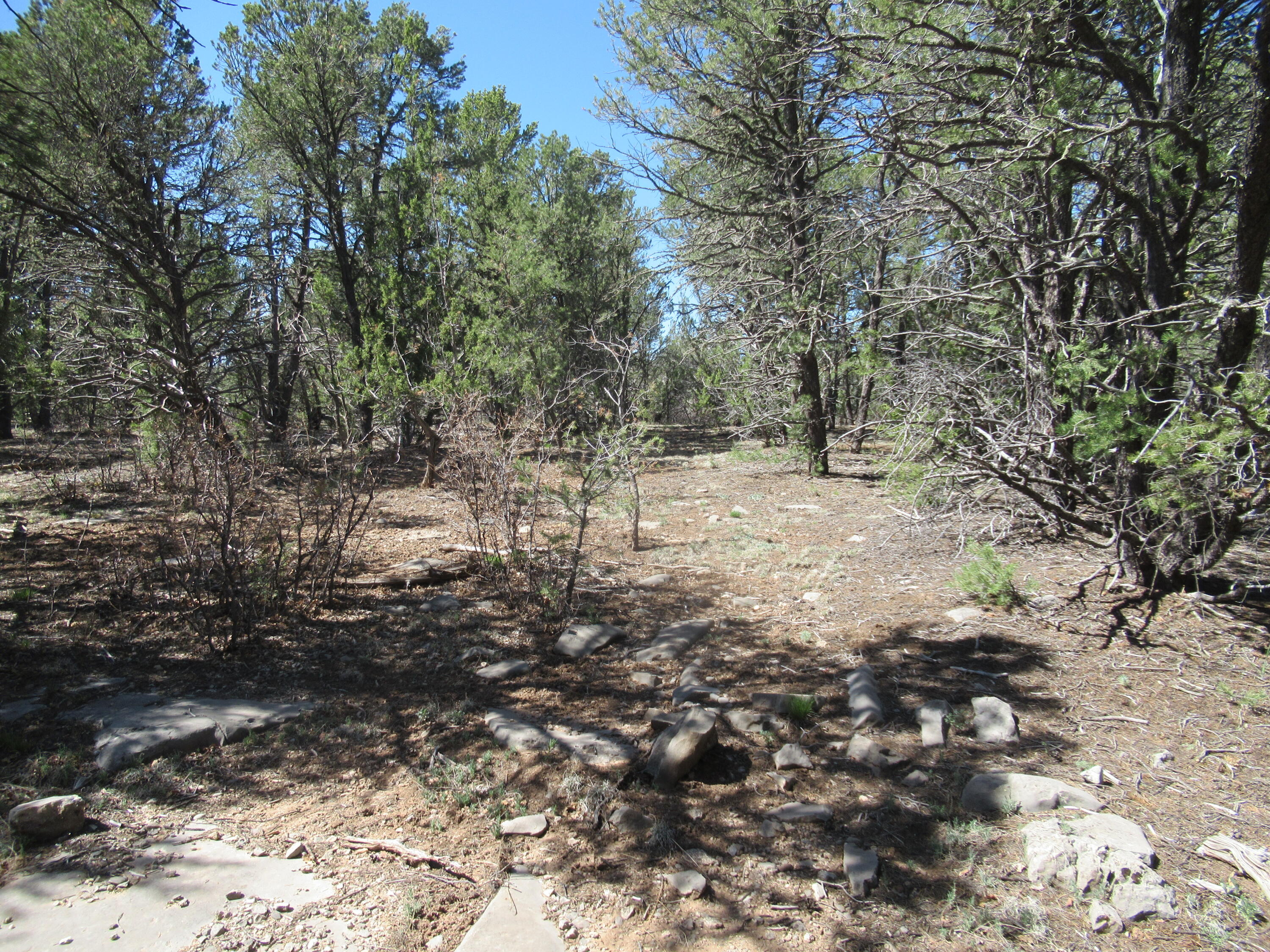 240 Jesse James Road, Tijeras, New Mexico image 29