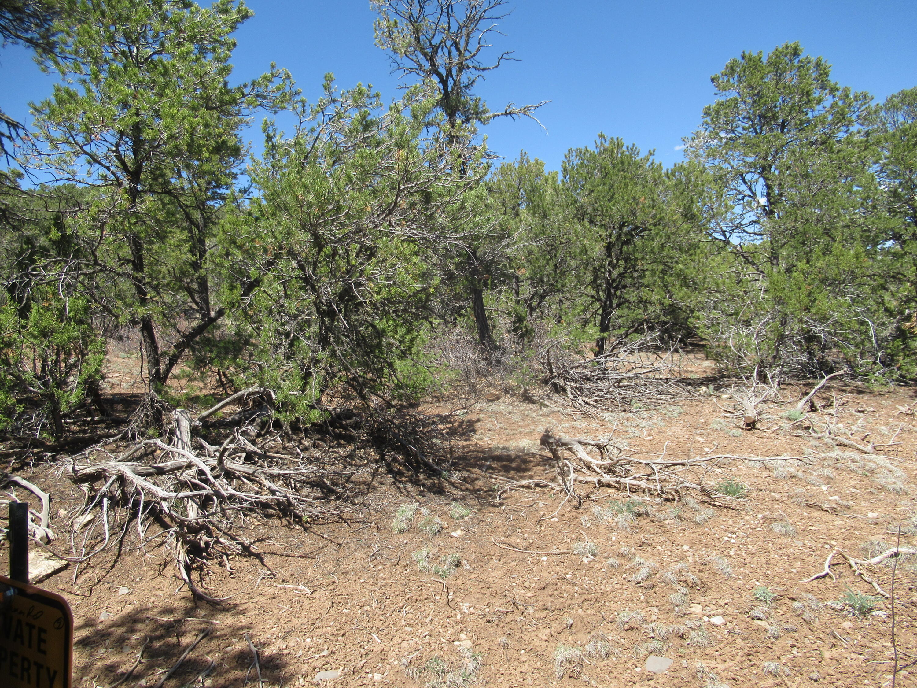 240 Jesse James Road, Tijeras, New Mexico image 25