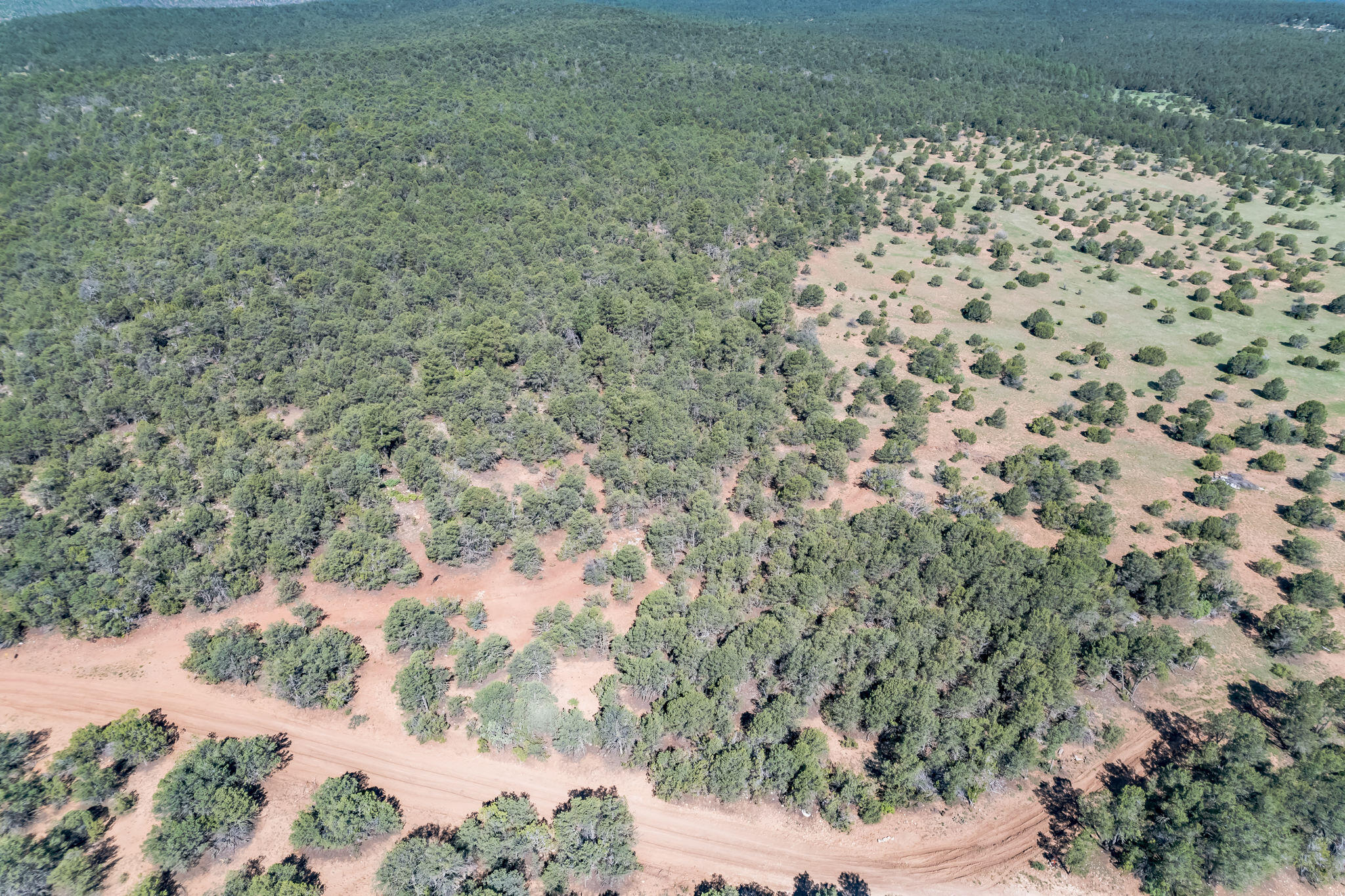 240 Jesse James Road, Tijeras, New Mexico image 10