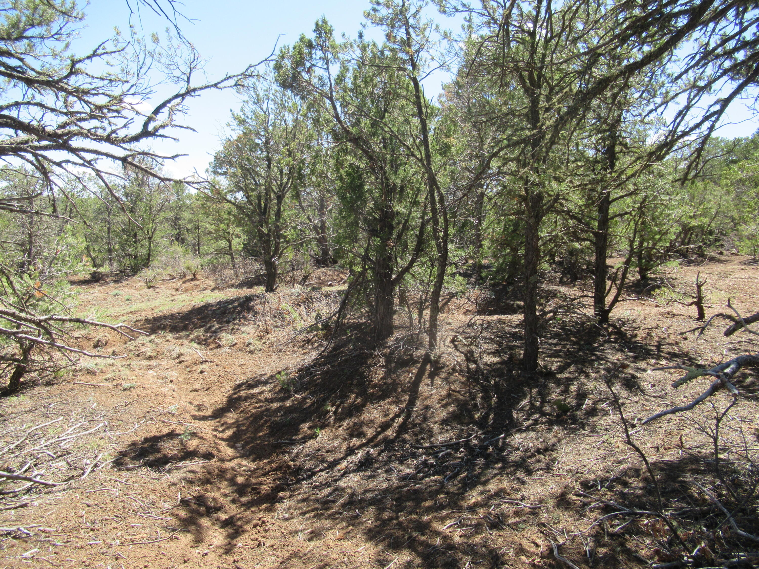 240 Jesse James Road, Tijeras, New Mexico image 26