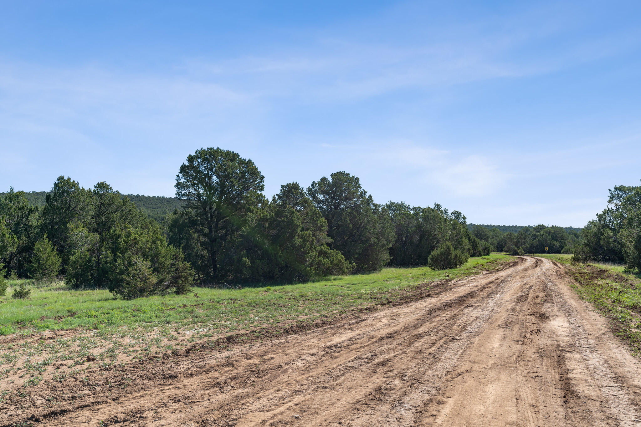 240 Jesse James Road, Tijeras, New Mexico image 32