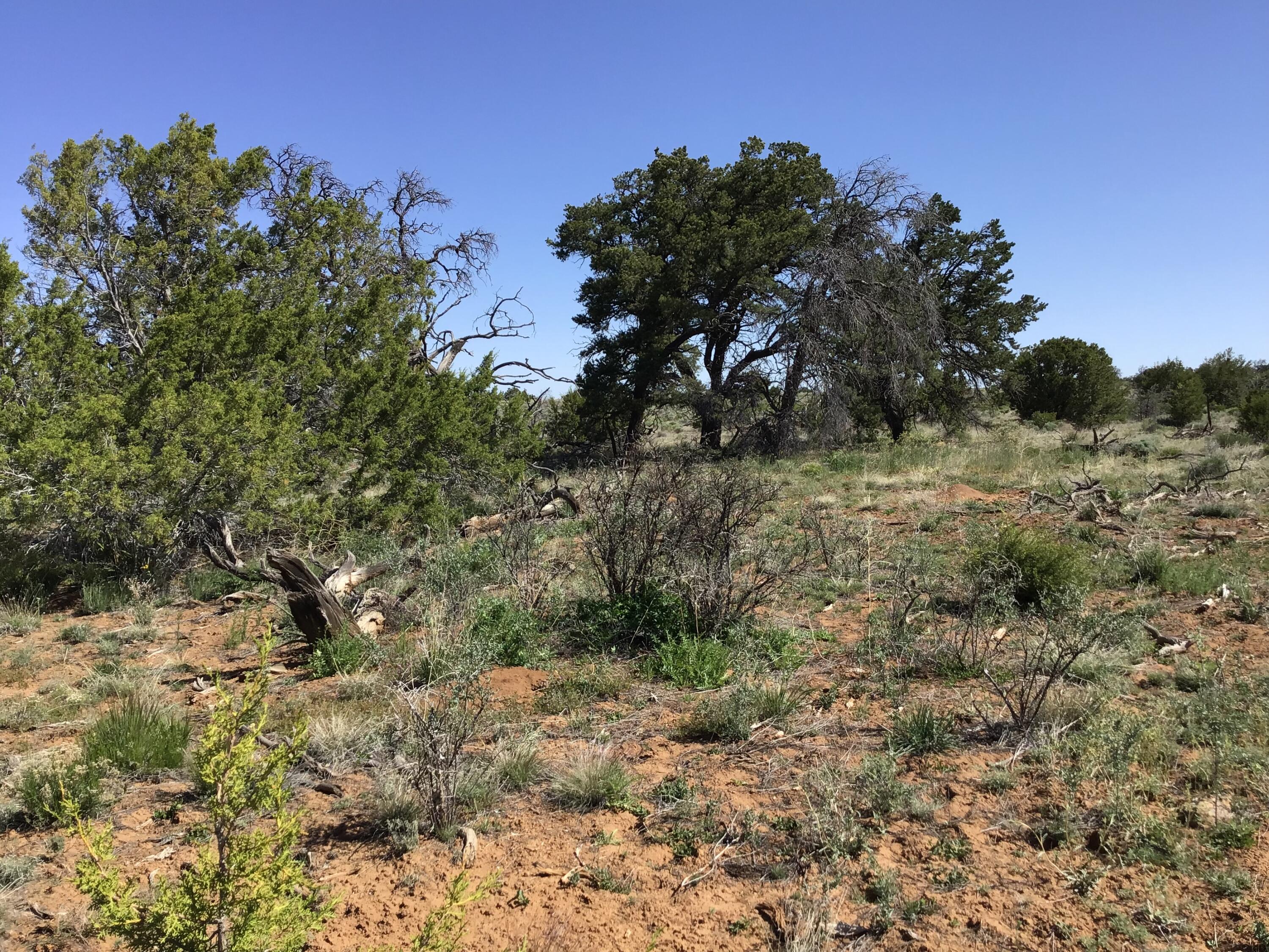 Lot 206e Meadow Drive, Ramah, New Mexico image 16