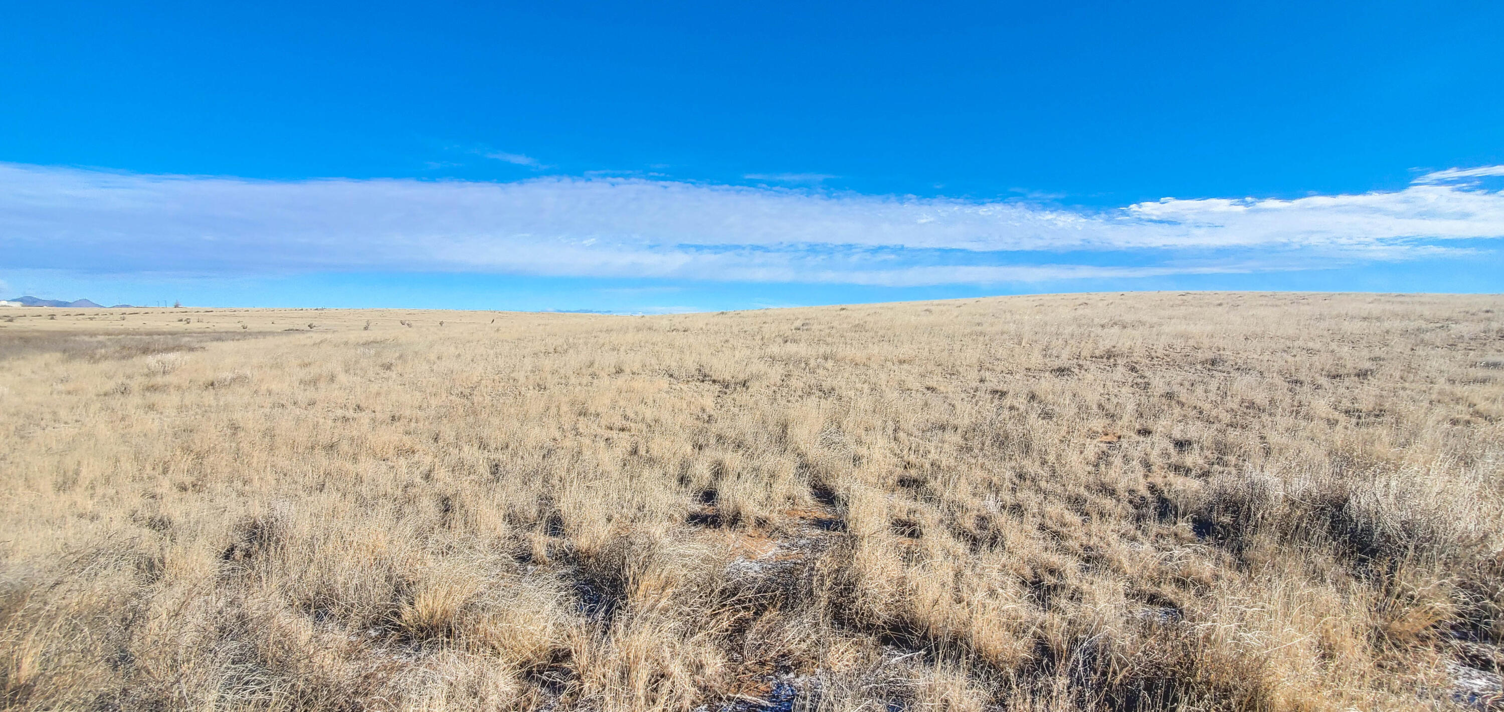 Prairewood Lane, Stanley, New Mexico image 7