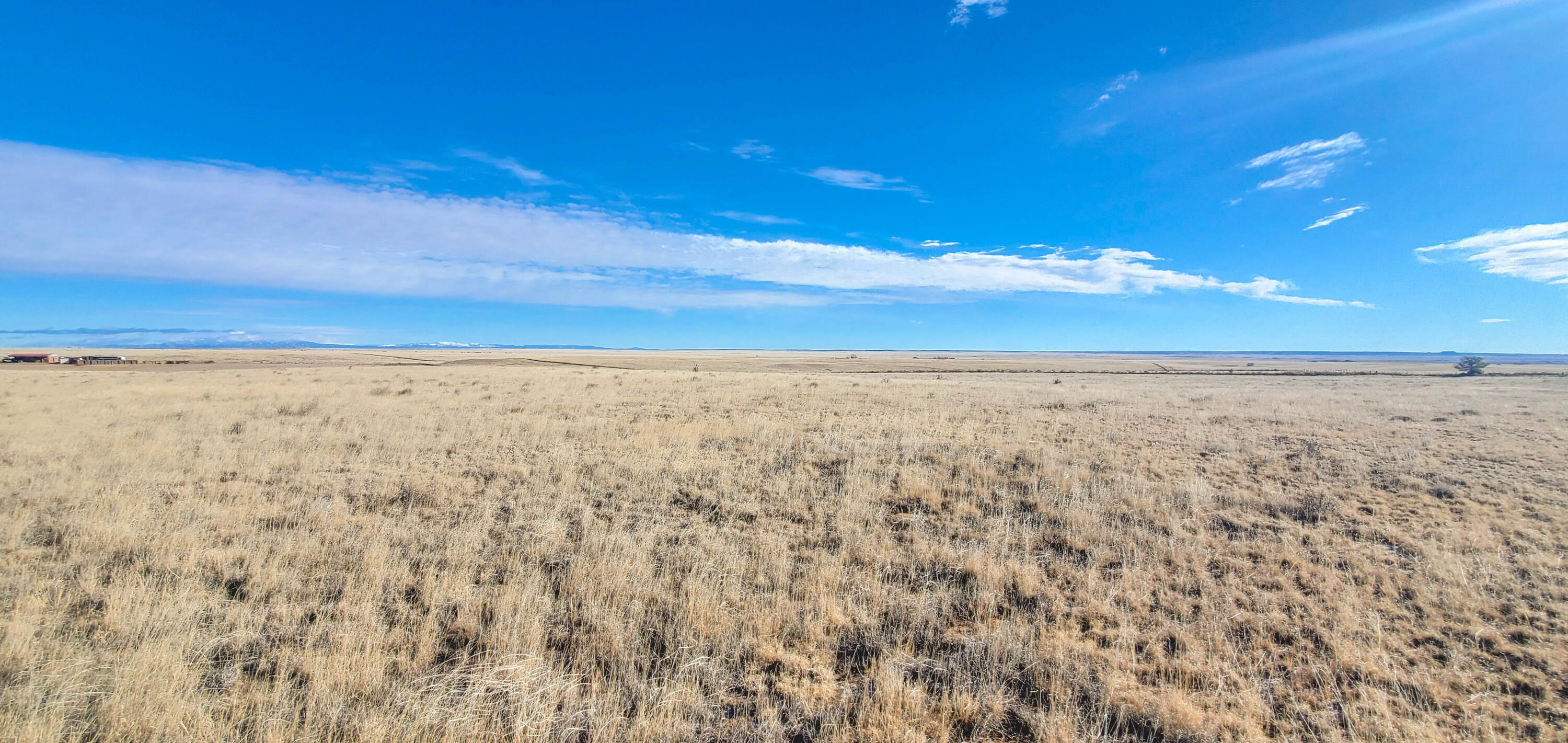 Prairewood Lane, Stanley, New Mexico image 6