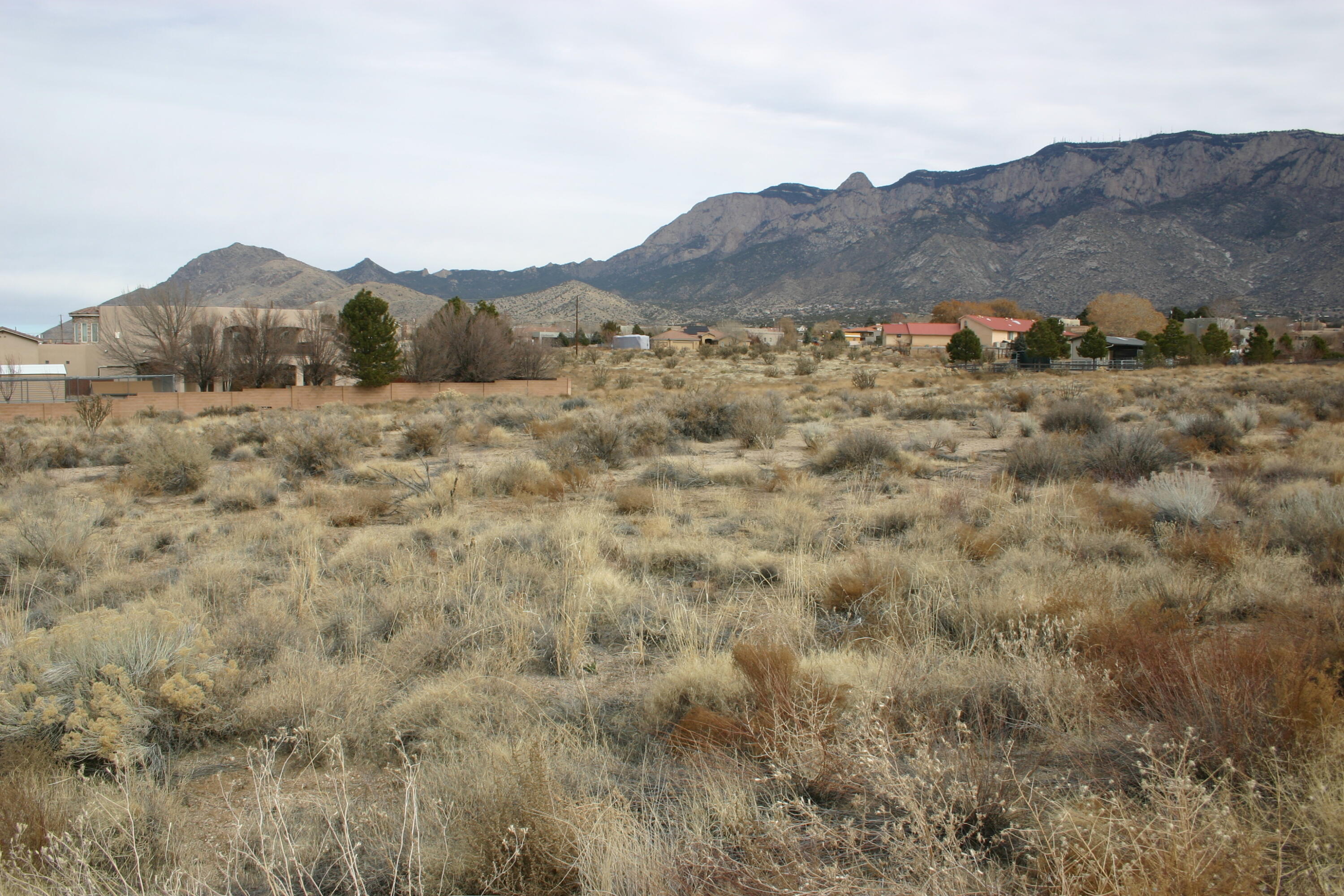 10815 Signal Avenue, Albuquerque, New Mexico image 4