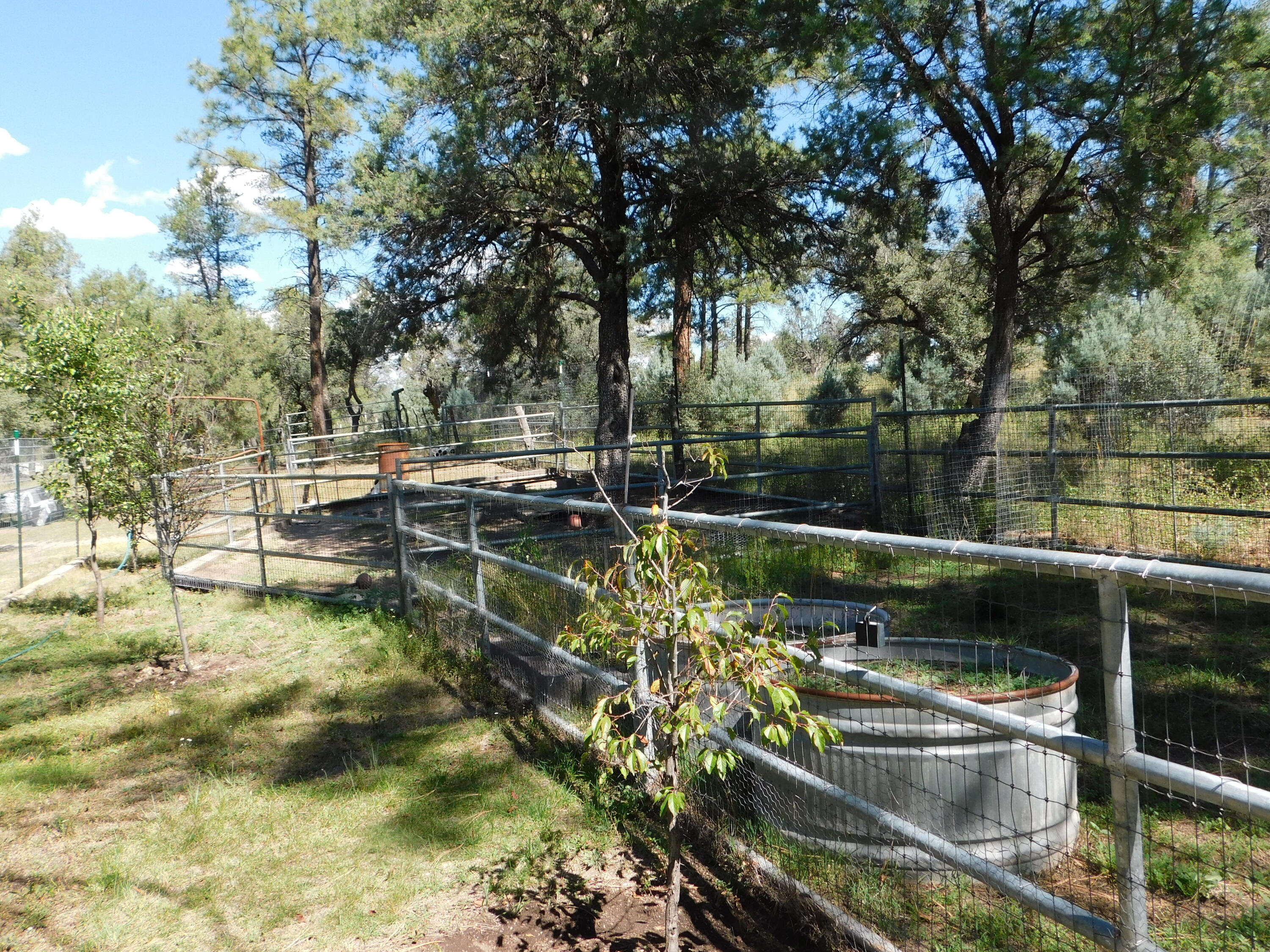 16 Horseshoe Drive, Reserve, New Mexico image 22