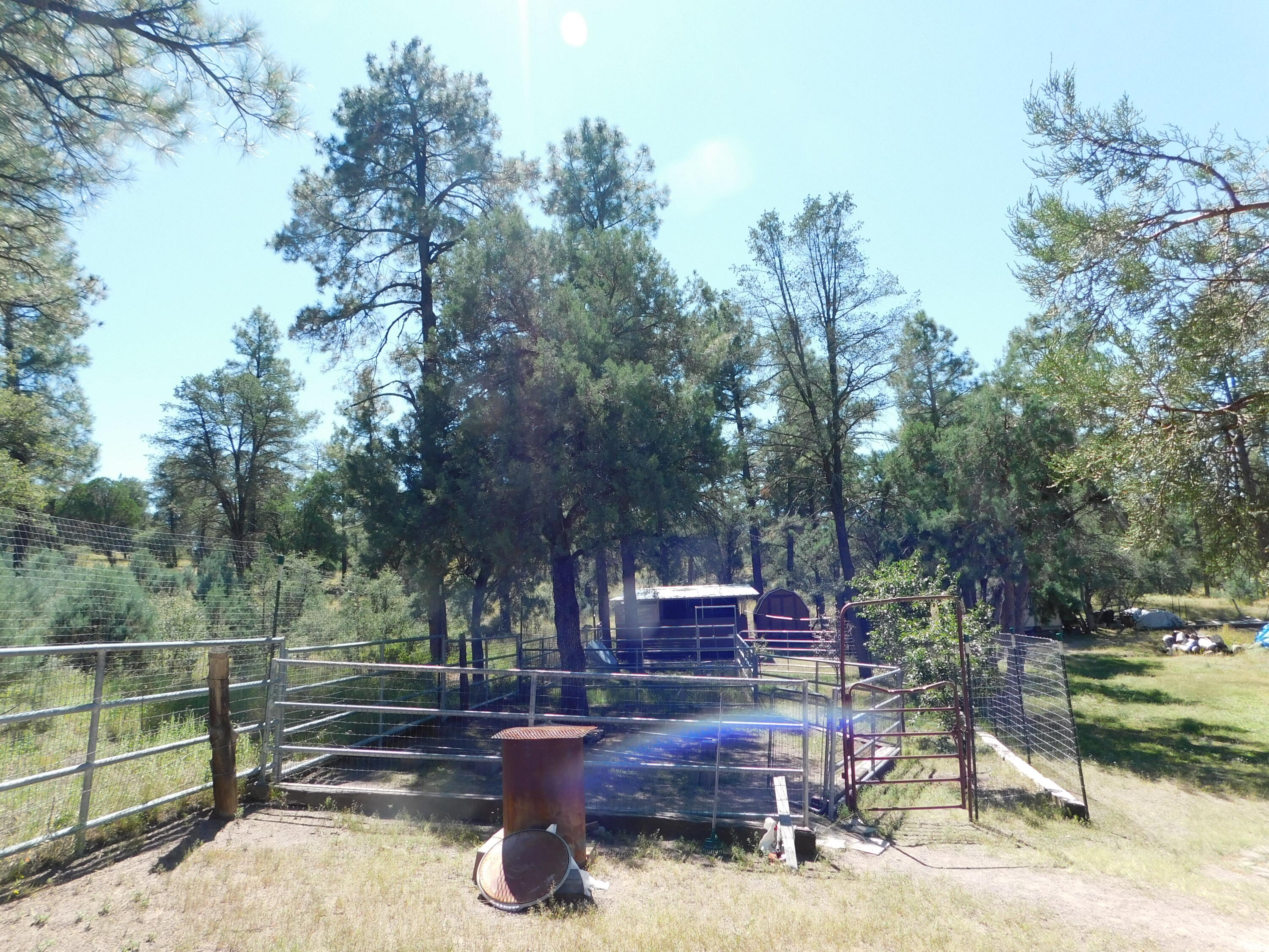 16 Horseshoe Drive, Reserve, New Mexico image 23