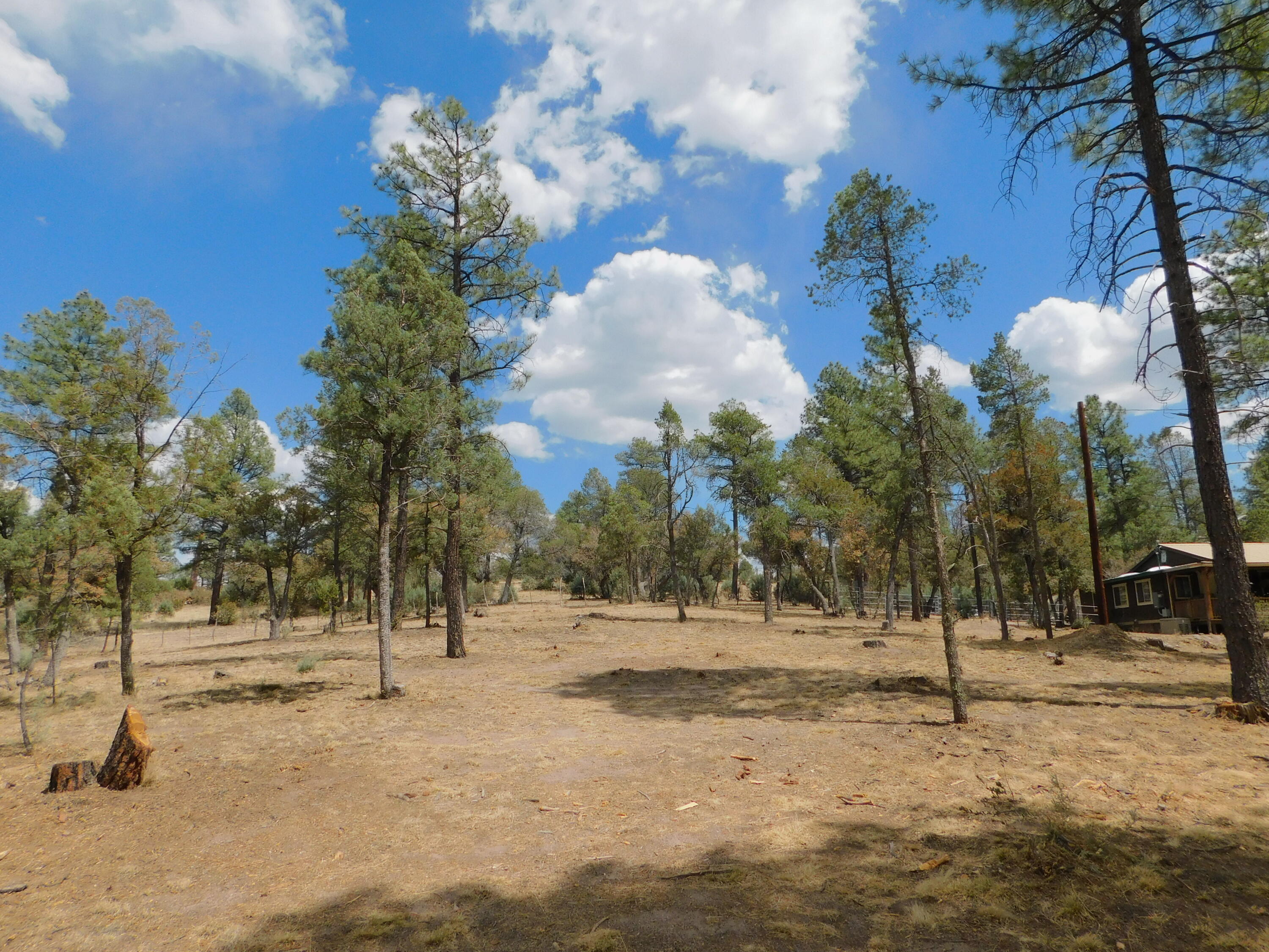 16 Horseshoe Drive, Reserve, New Mexico image 7