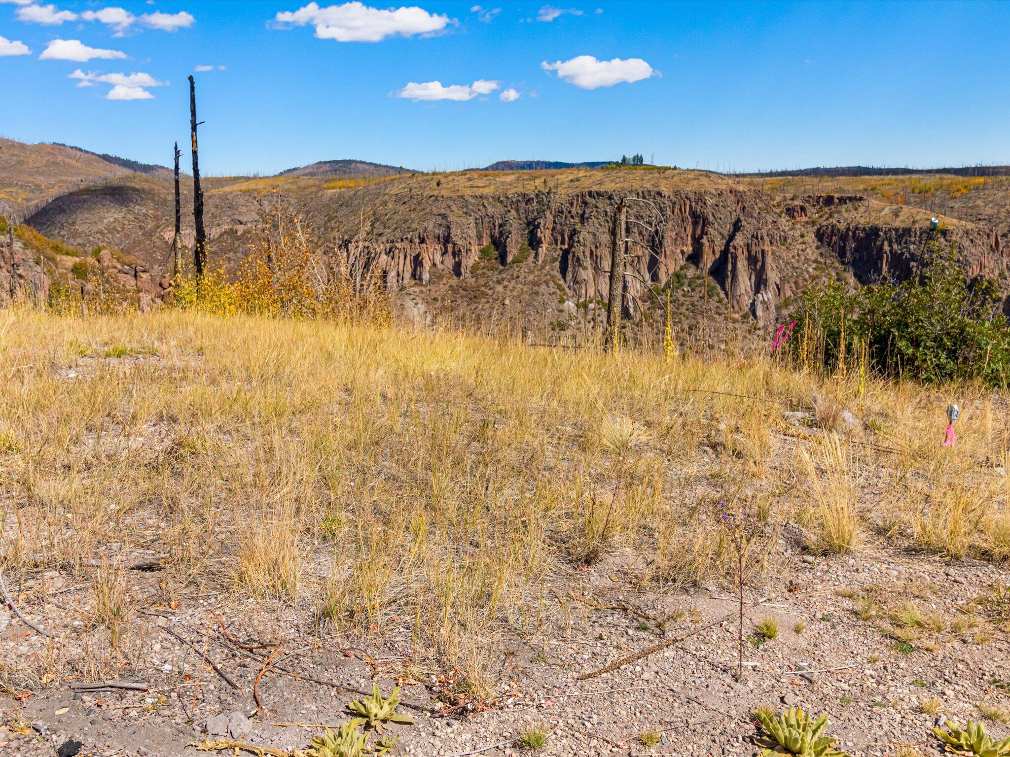 995 Forest Rd 268 Road, Jemez Springs, New Mexico image 28